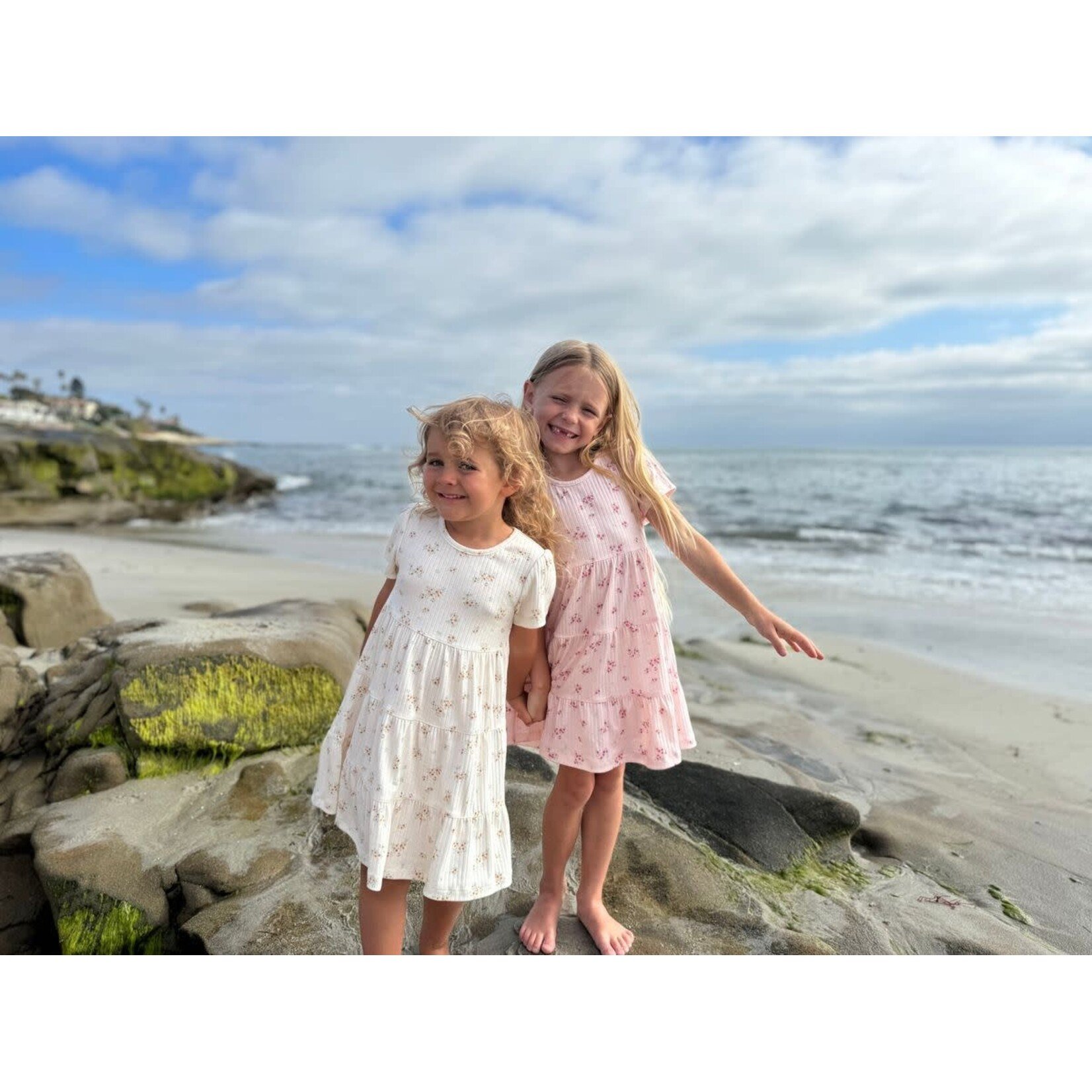 Vignette Vignette - Iona Dress