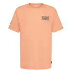 Billabong - Heritage Arch Tee (2T-7)