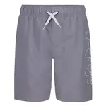 Under Armour Under Armour - Print Volley Trunk