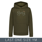 Under Armour Under Armour - Carabiner Hoodie