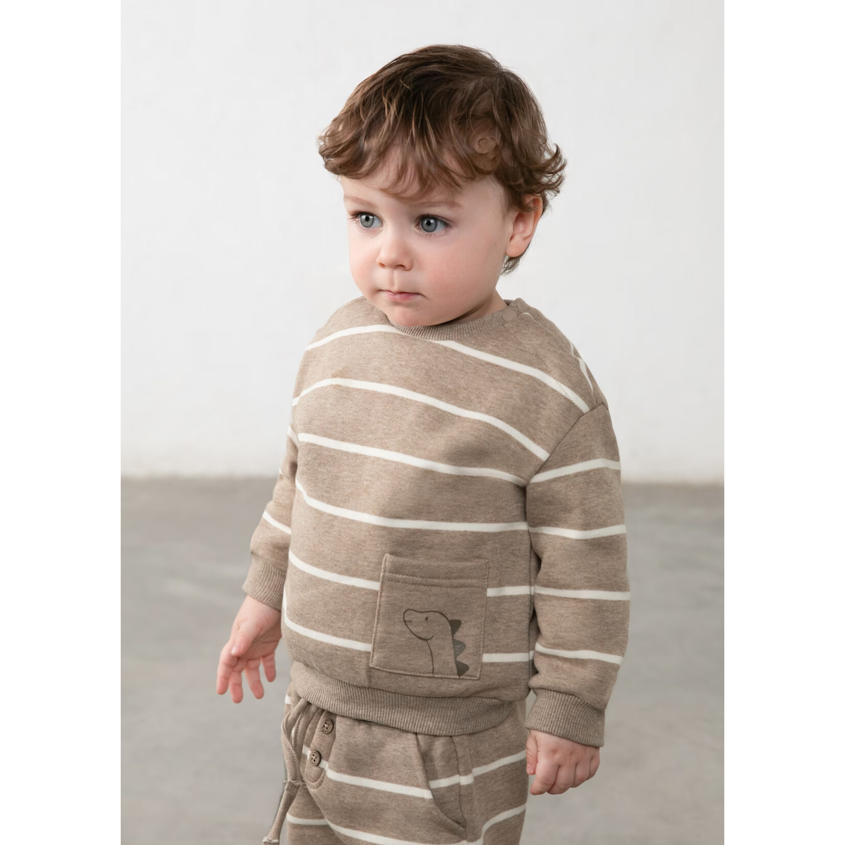 Mayoral Mayoral -  Animal Pocket  Striped Sweatshirt (2416)