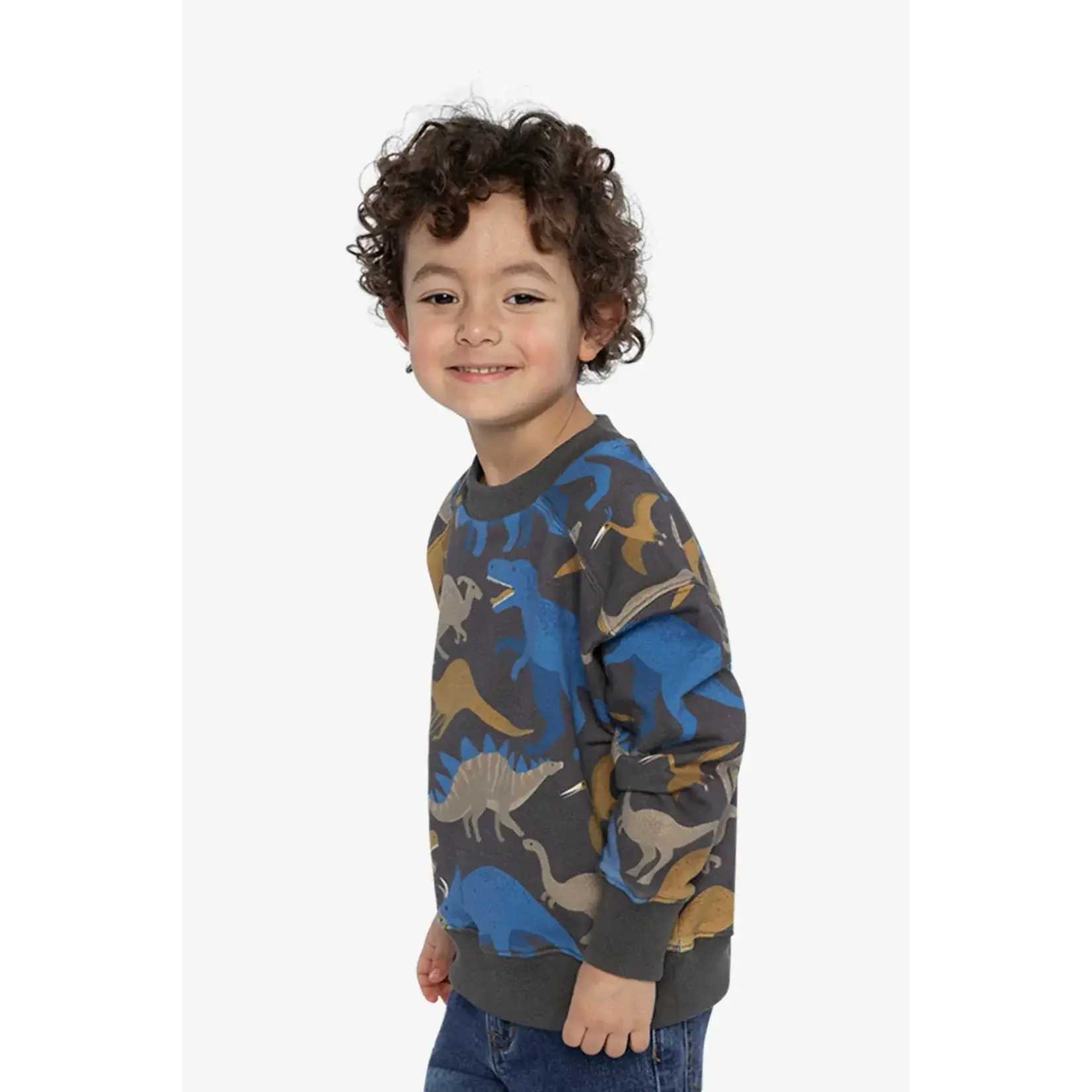 Deux Par Deux Deux Par Deux - Fleece  Dino Sweatshirt