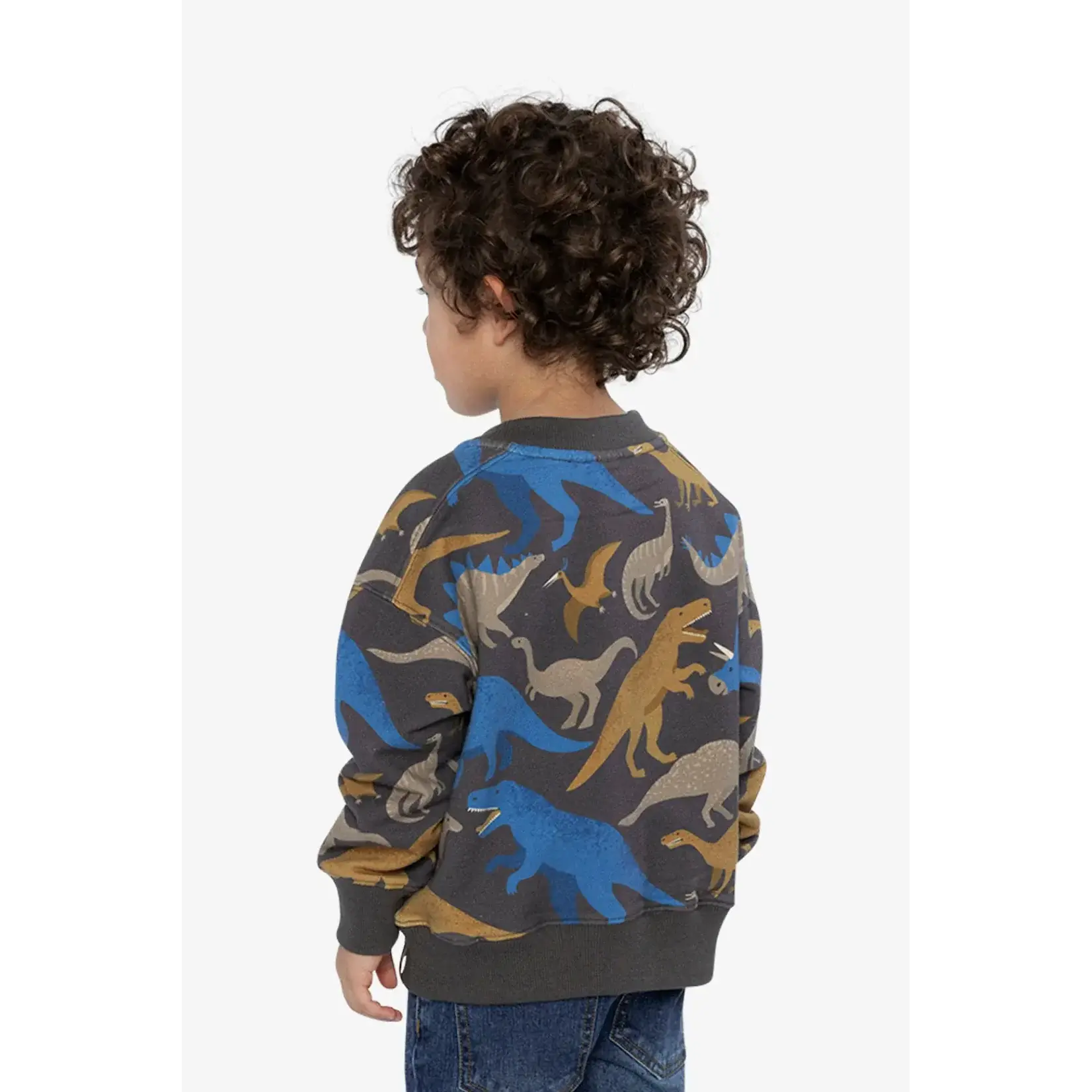 Deux Par Deux Deux Par Deux - Fleece  Dino Sweatshirt
