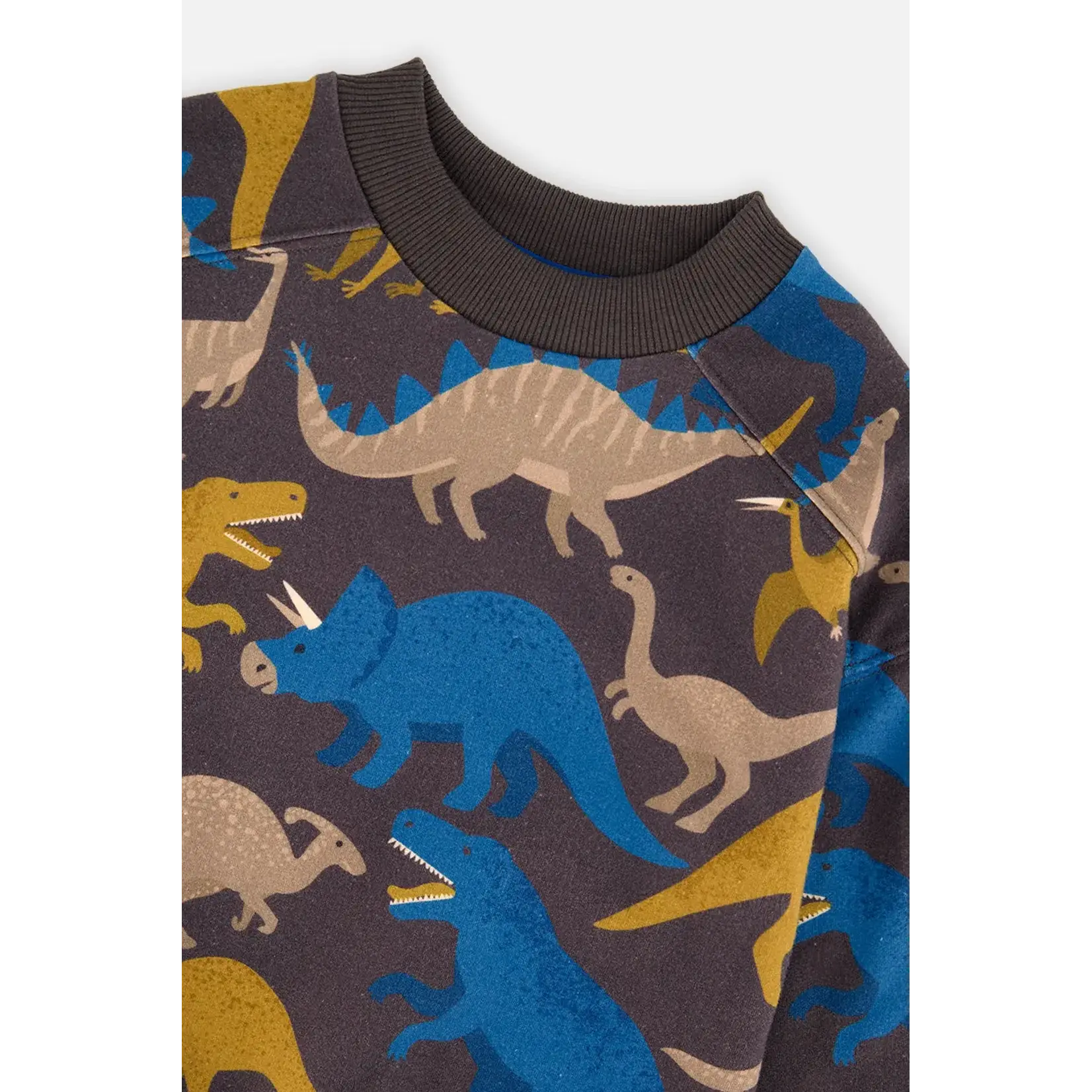 Deux Par Deux Deux Par Deux - Fleece  Dino Sweatshirt