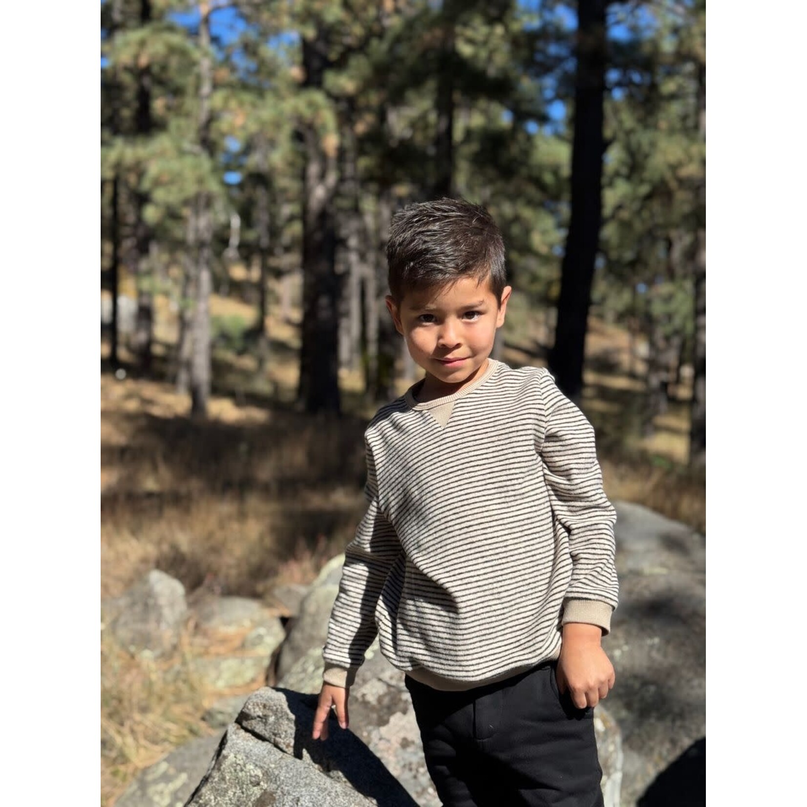 Me & Henry Me & Henry - Tarquin Brushed Stripe Sweatshirt