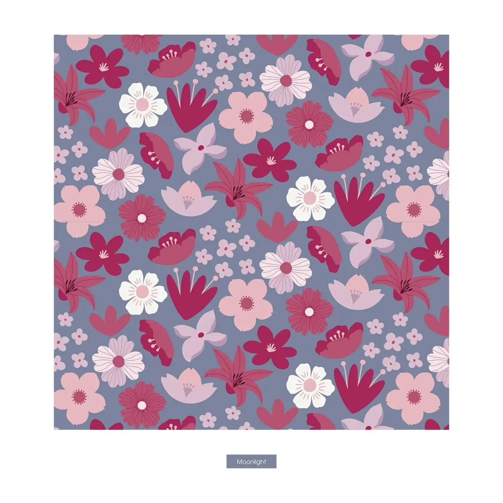 KicKee Pants KicKee Pants - Girl’s Underwear | Moonlight Picture Day Floral