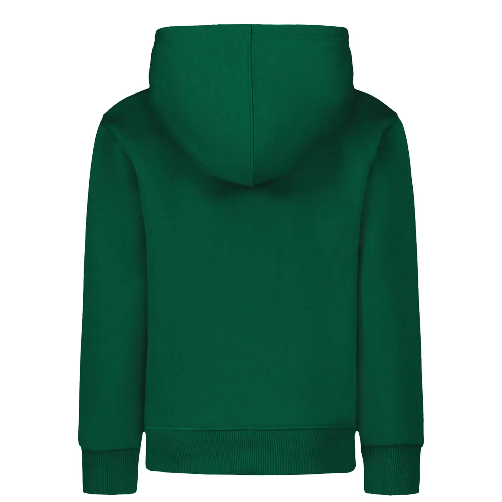 Under Armour Under Armour - Chenille Logo Hoodie