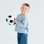 Roobear Roobear - Striped Lightweight Crewneck