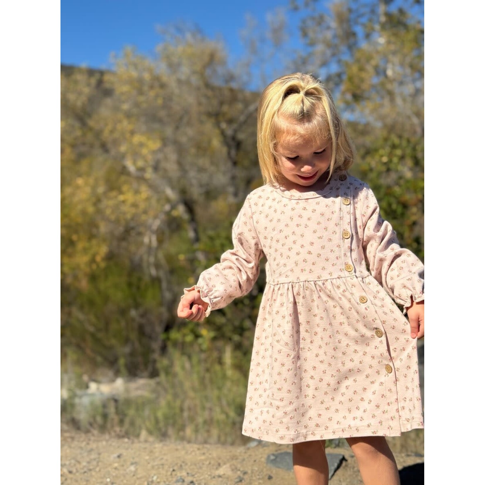 Vignette Vignette - Charlotte Dress