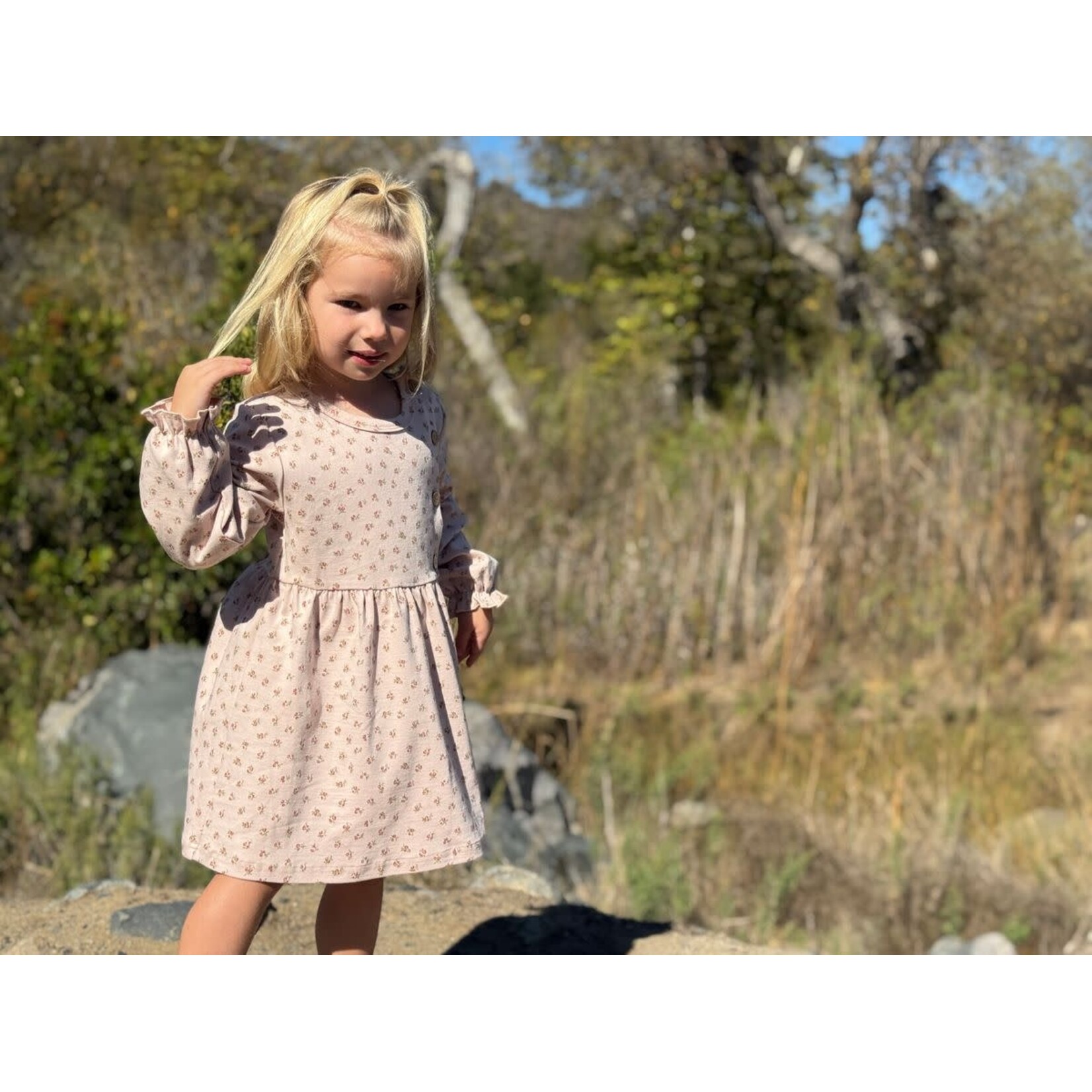 Vignette Vignette - Charlotte Dress