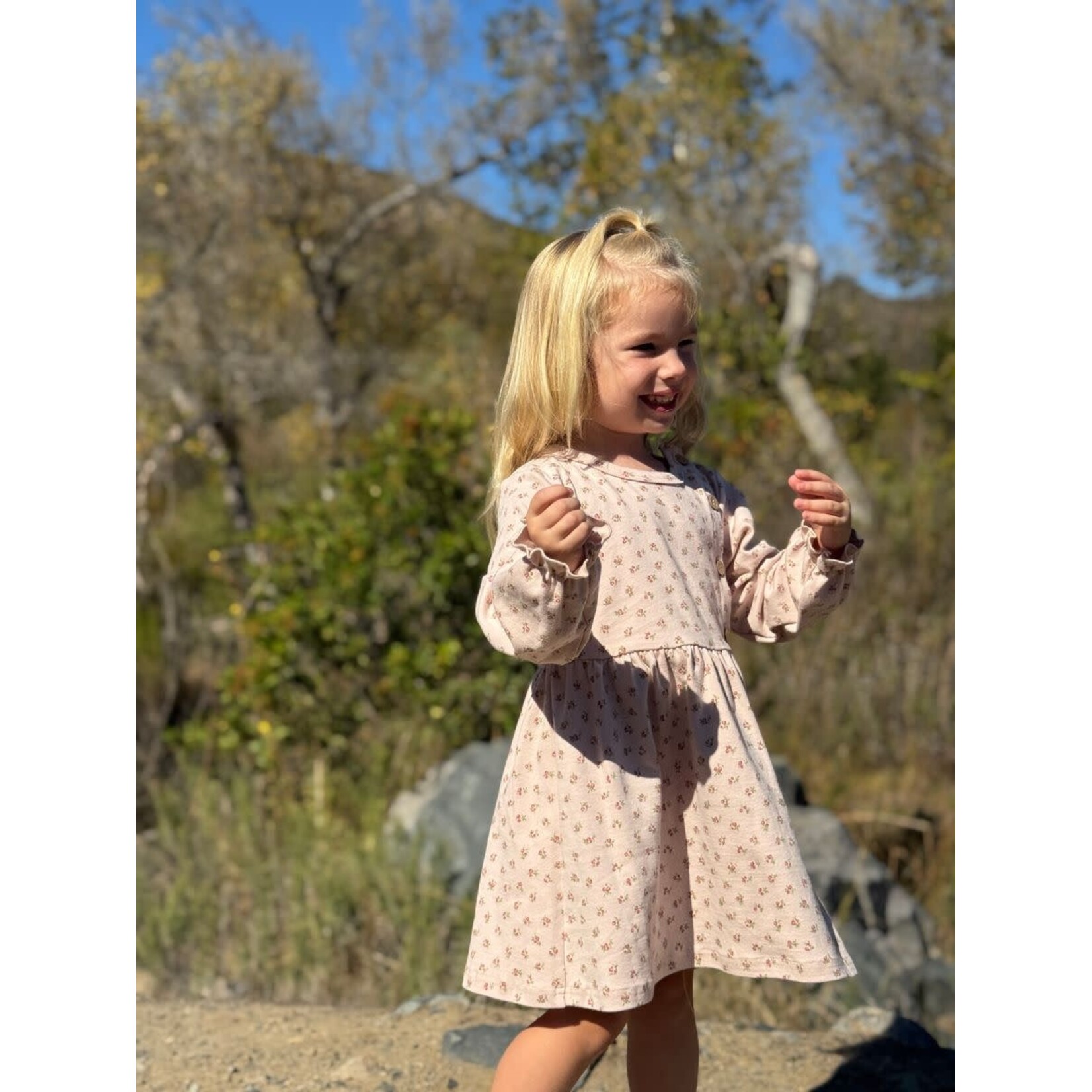 Vignette Vignette - Charlotte Dress