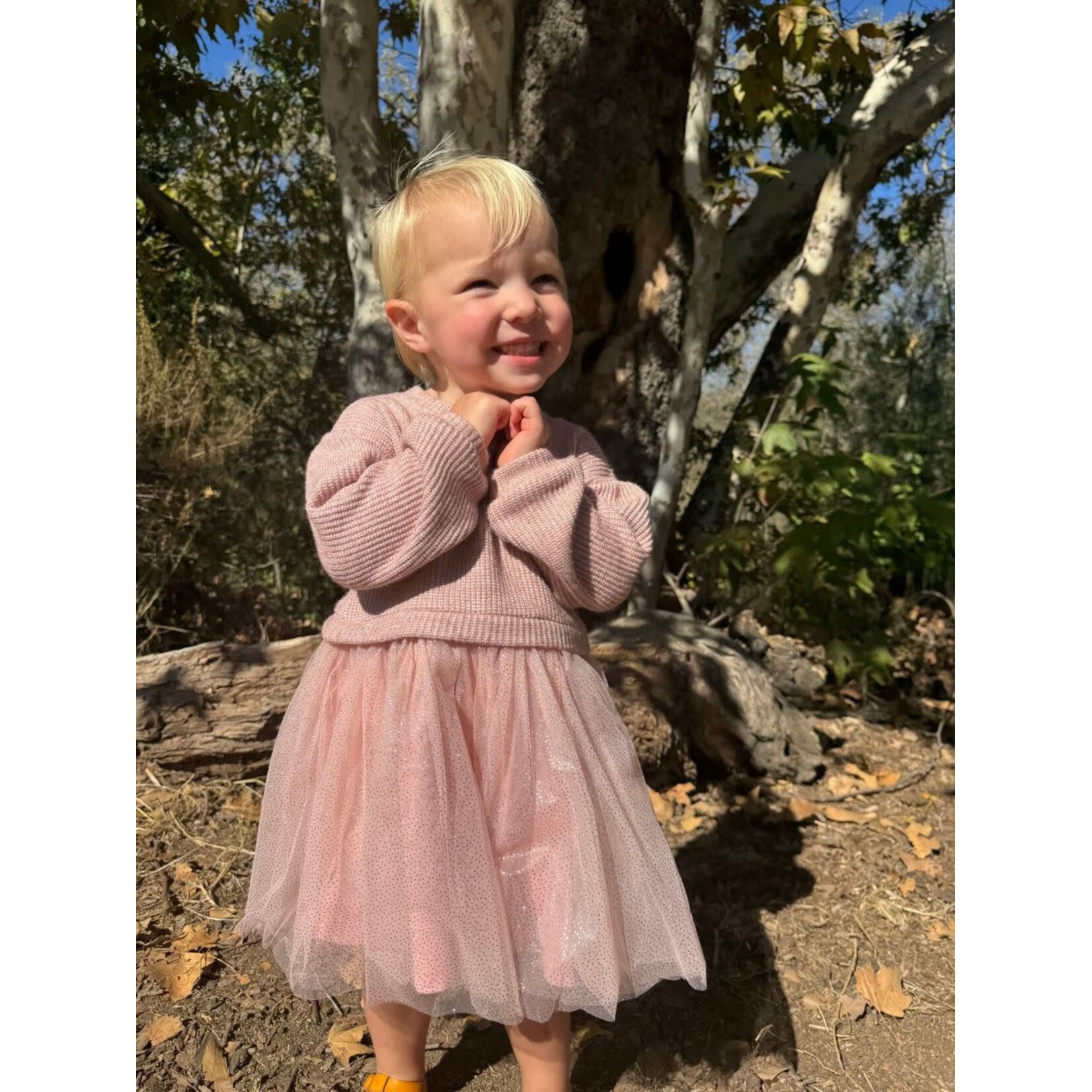 Vignette Vignette - Birdie Dress