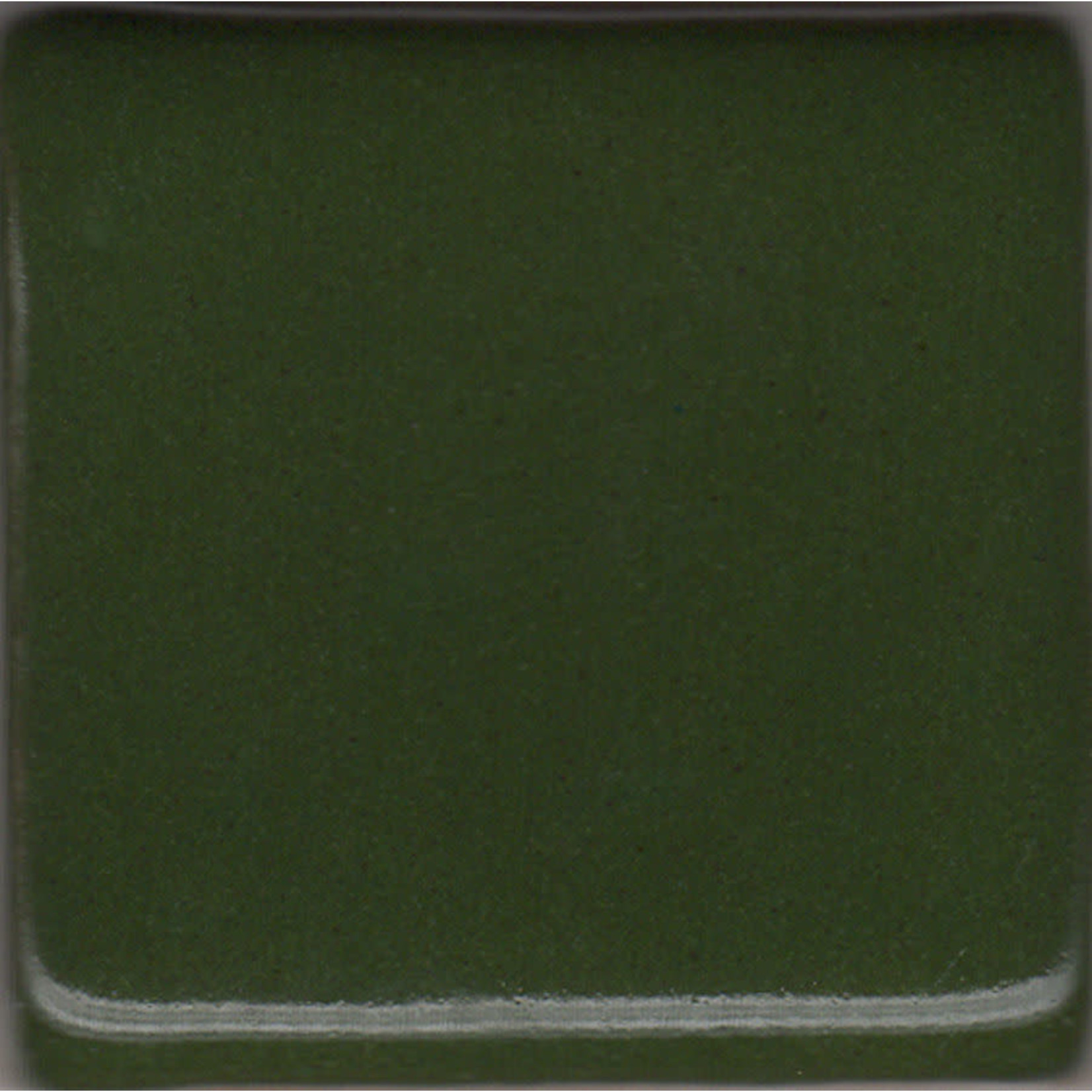 Coyote MBG005 - Chrome Green ^4-6 (Pint)