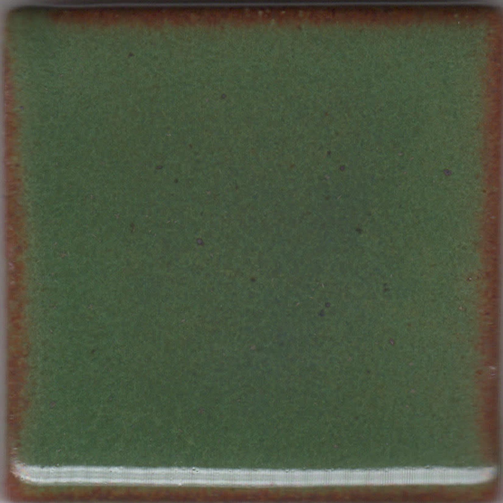 Coyote MBG044 - Green Shino ^4-6 (Pint)