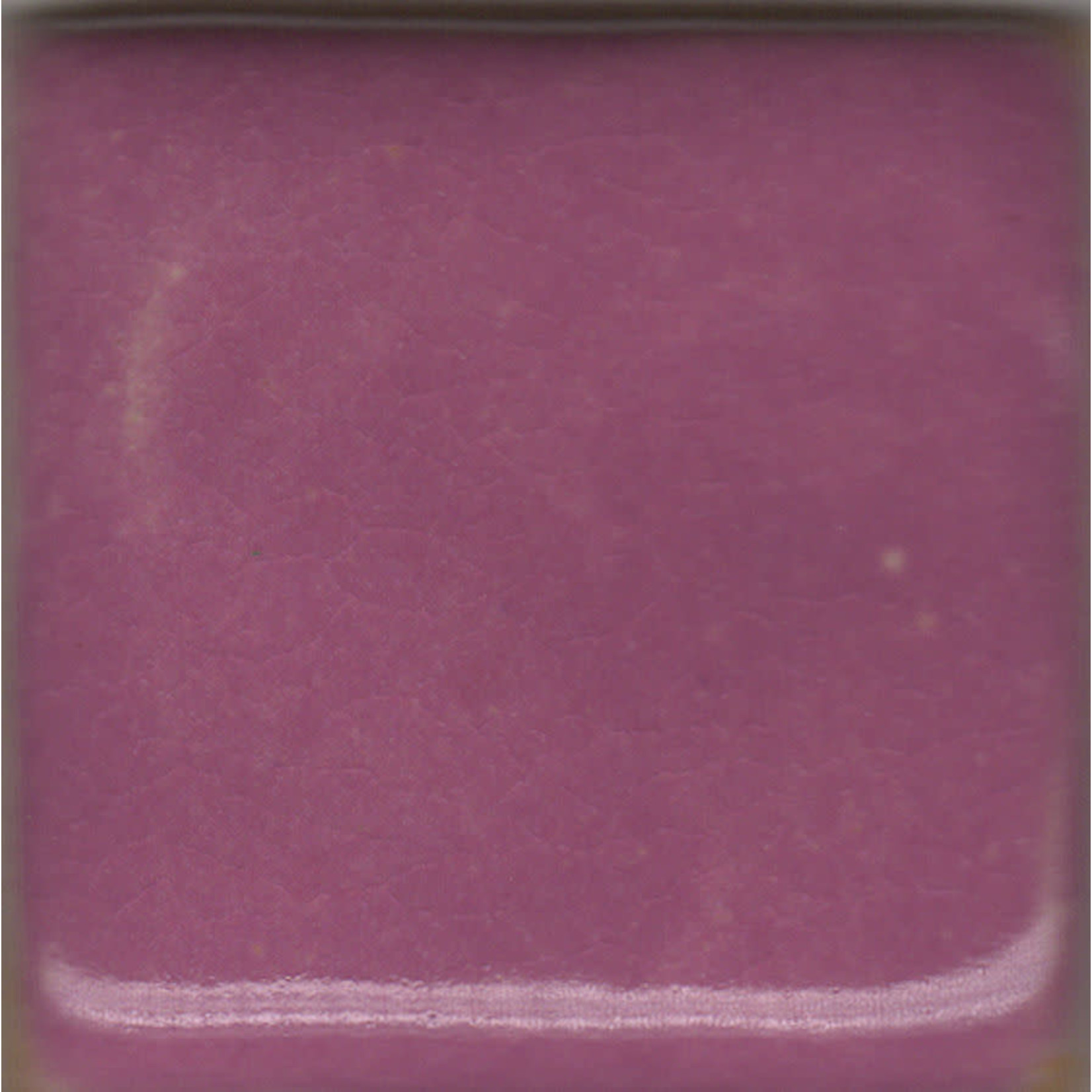 Coyote MBG054 - Violet ^4-6 (Pint)
