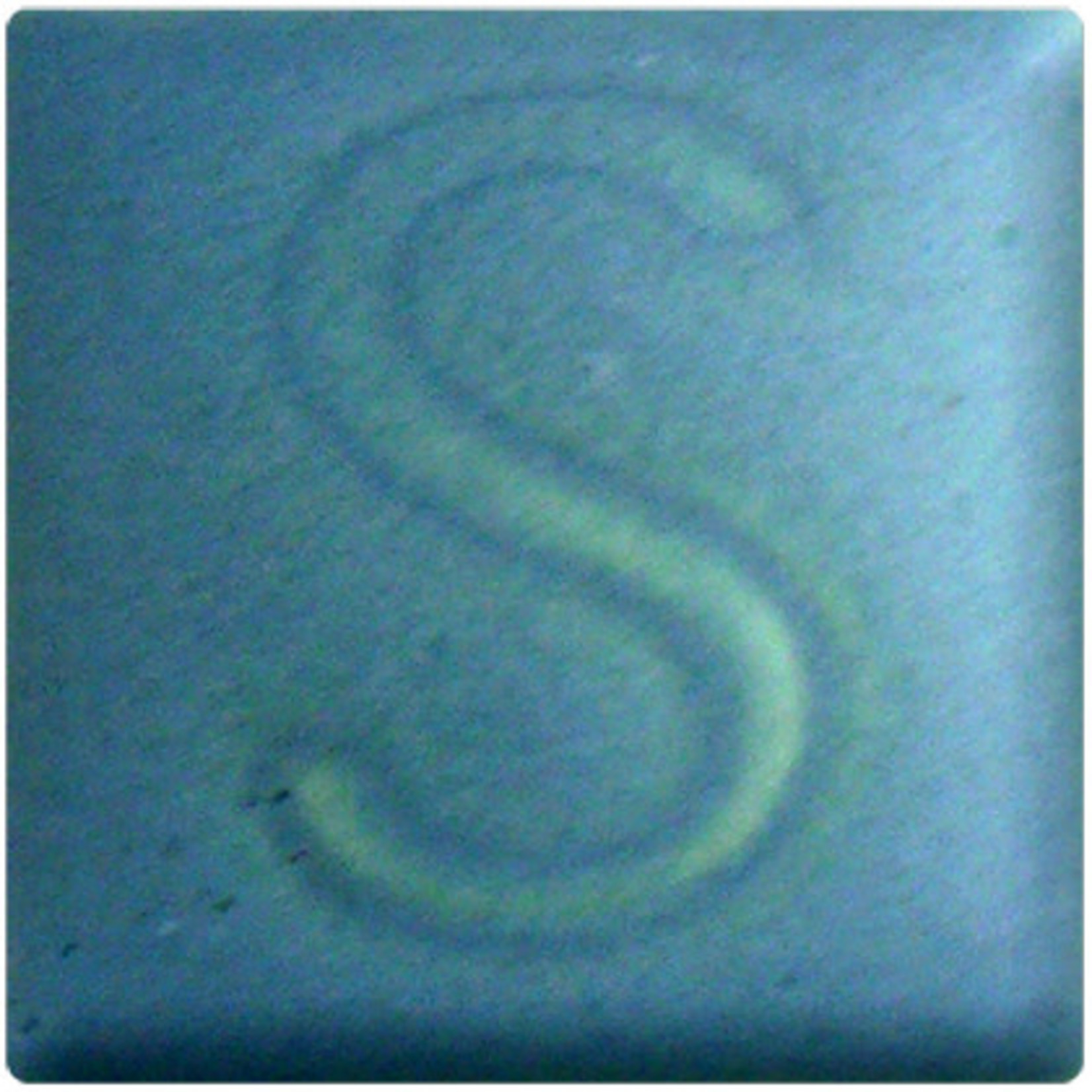 Spectrum Sp262 - Satin Seagreen ^06-04 (Pint)