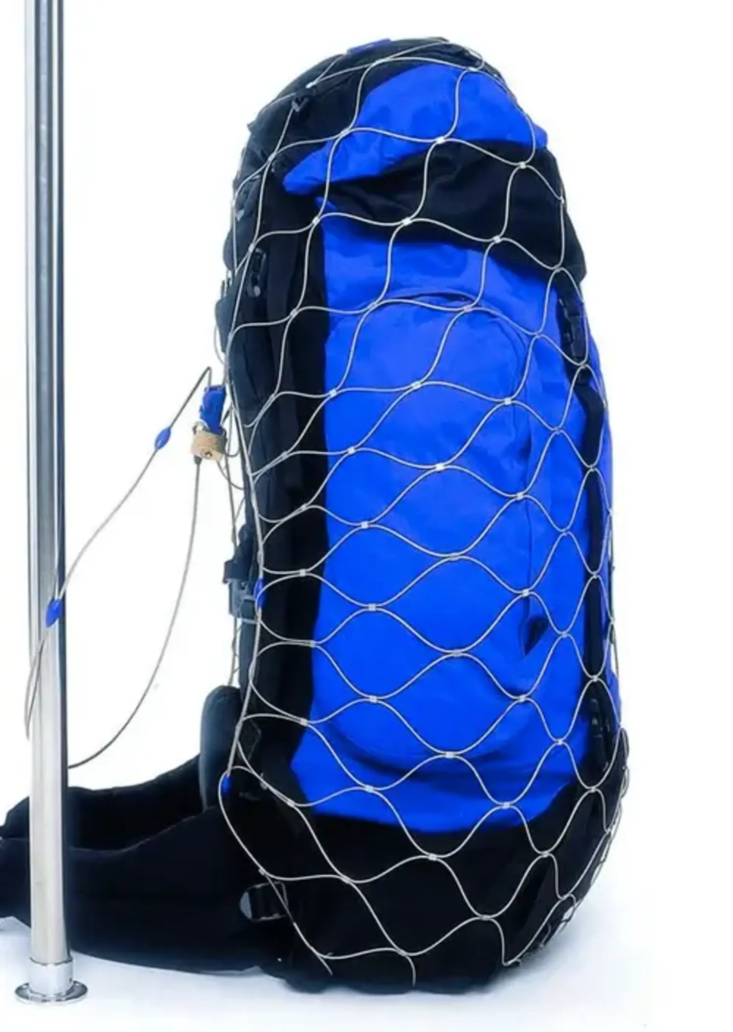 Pacsafe 2025 backpack protector