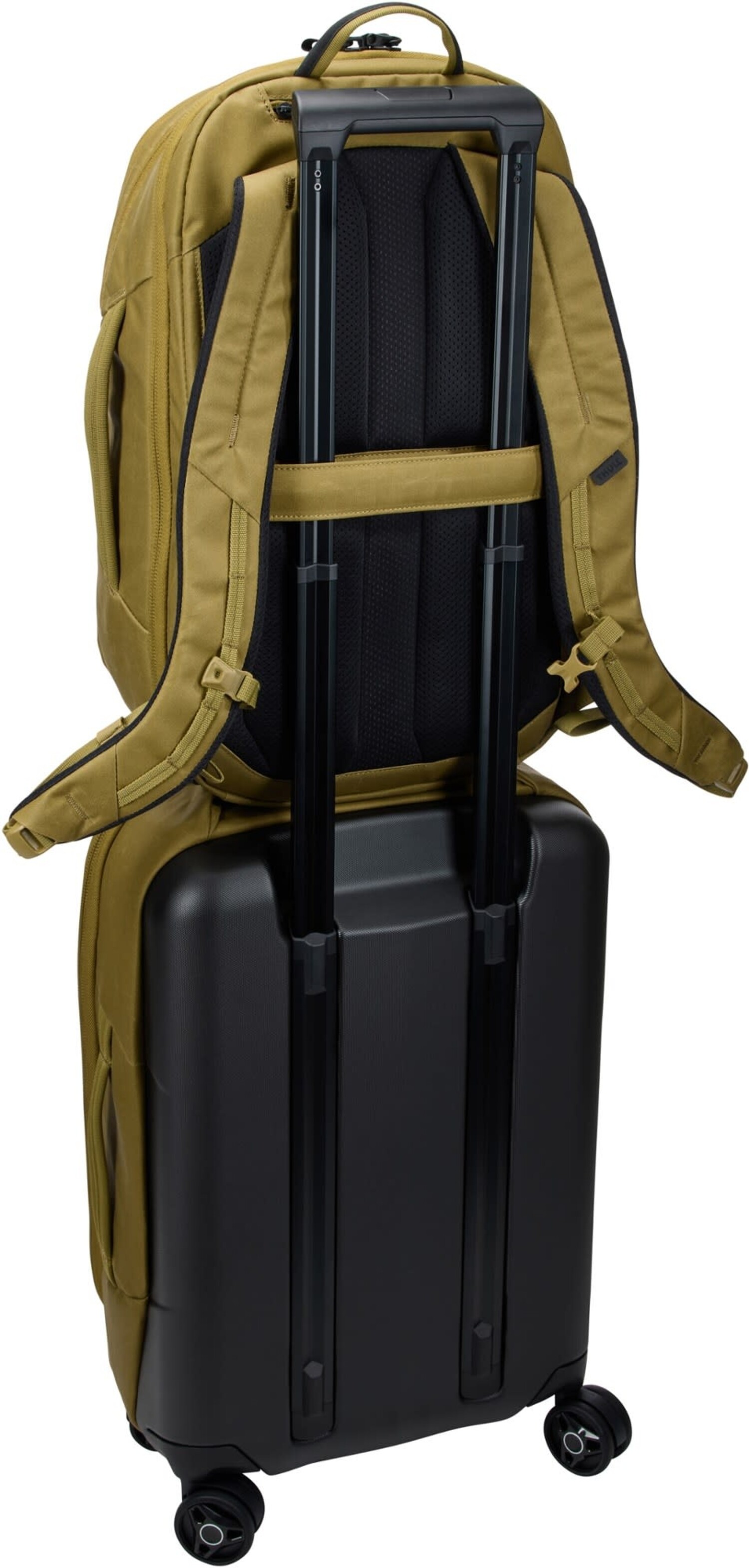 坂*本様 THULE リュック　Nutria 28L Thule Aion Travel Backpack 28L - Nutria Brown - Just Bags