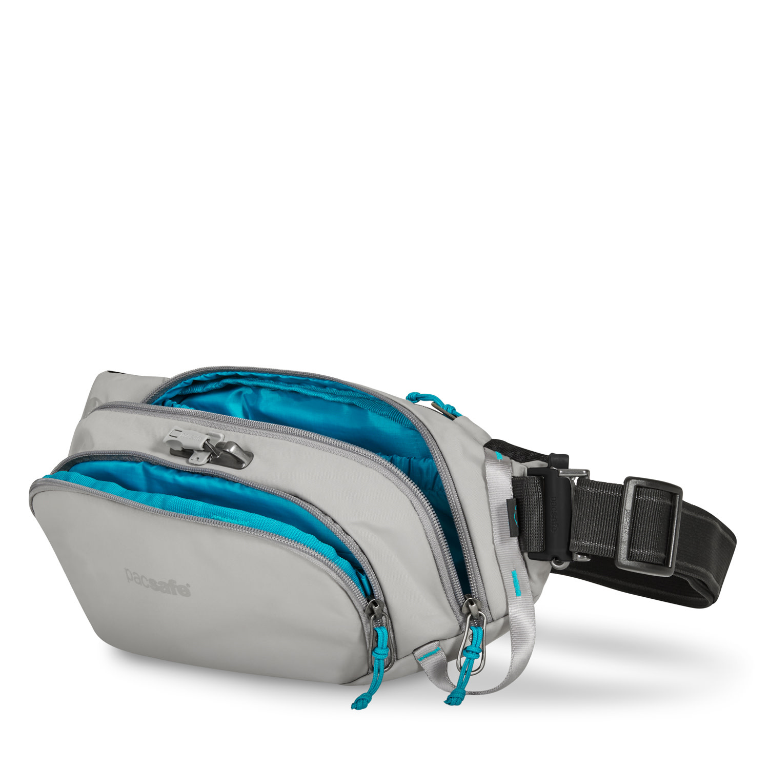 Waist best sale bag pacsafe