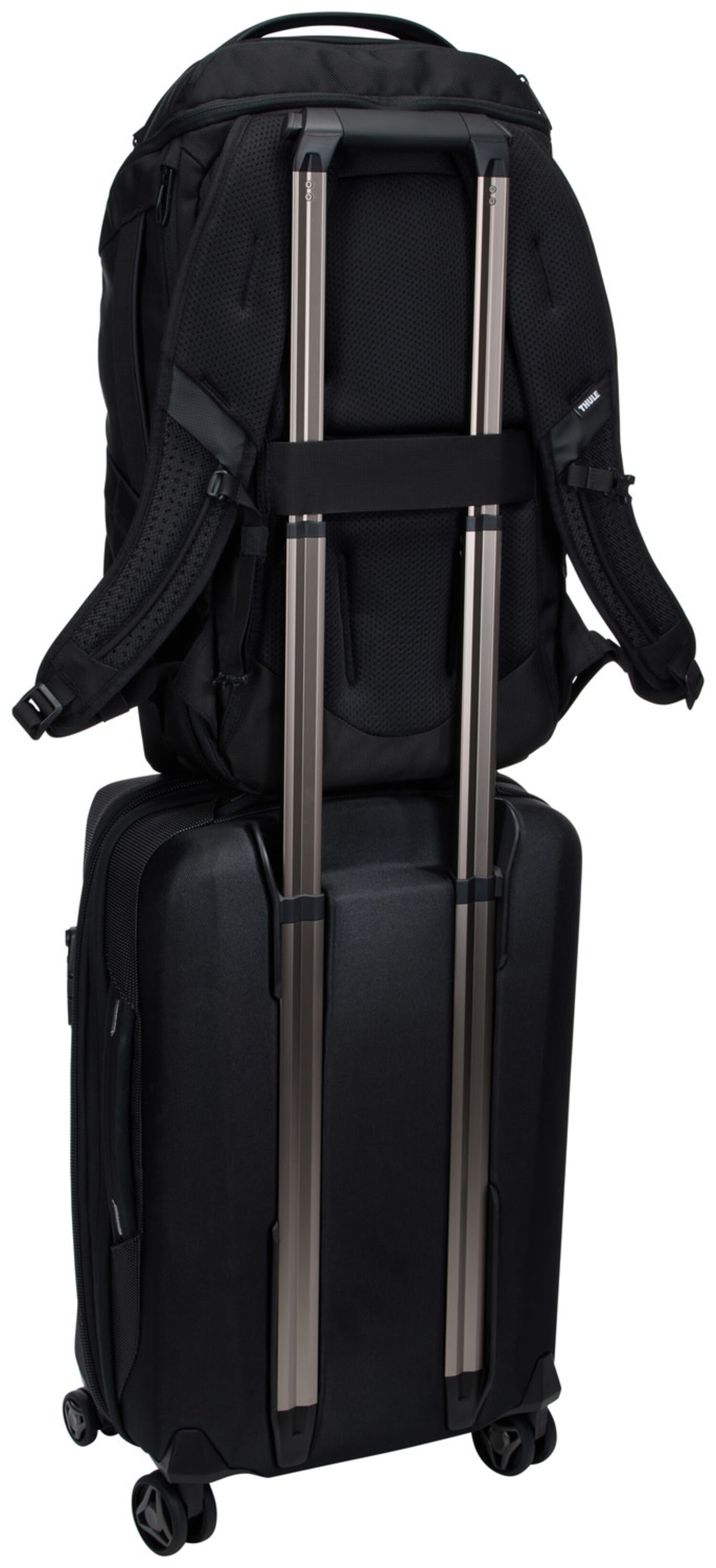 Thule Accent Backpack 28L Black - Just Bags Luggage Center