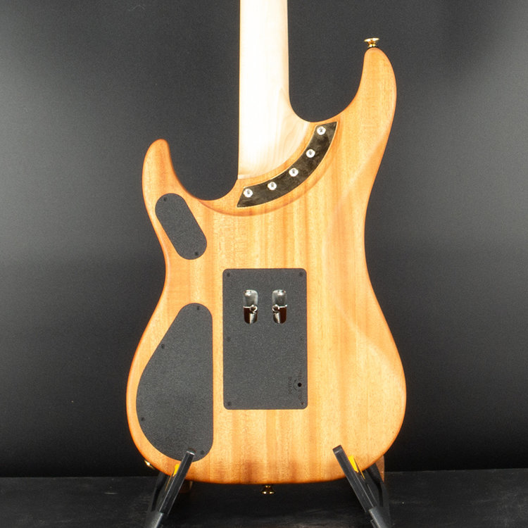 Washburn Prototype Washburn N4 Acajou