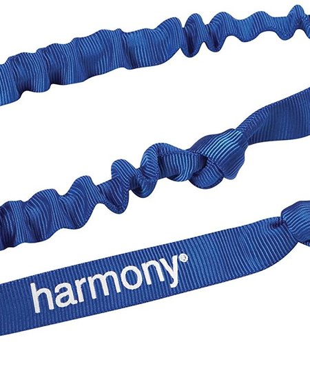 Harmony Gear Paddle Leash