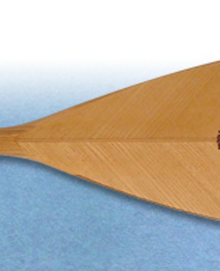 Grey Owl Owl Feather