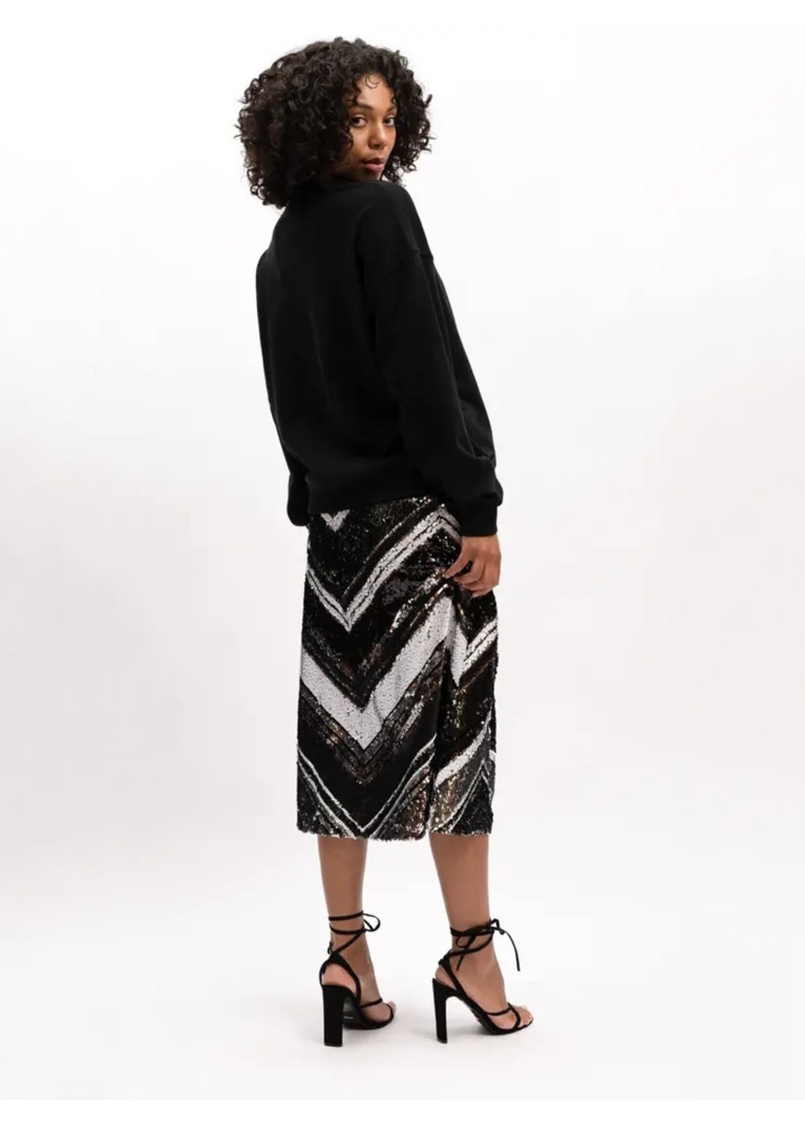 We Are the Others We Are the Others - Zana Sequin Skirt