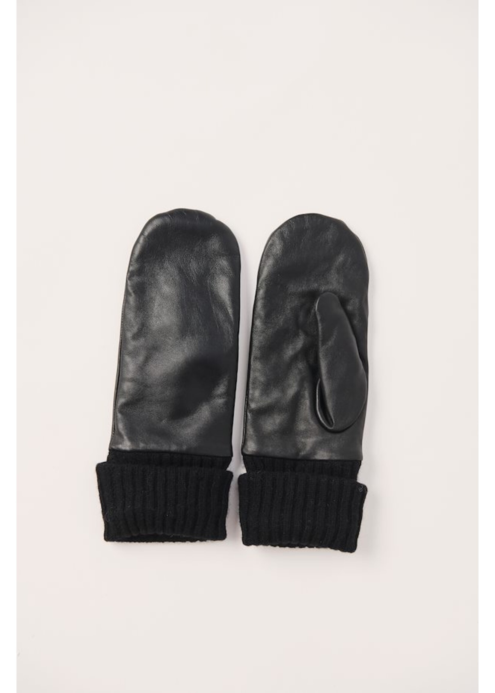 Part Two Part Two  - Vinifred Gloves