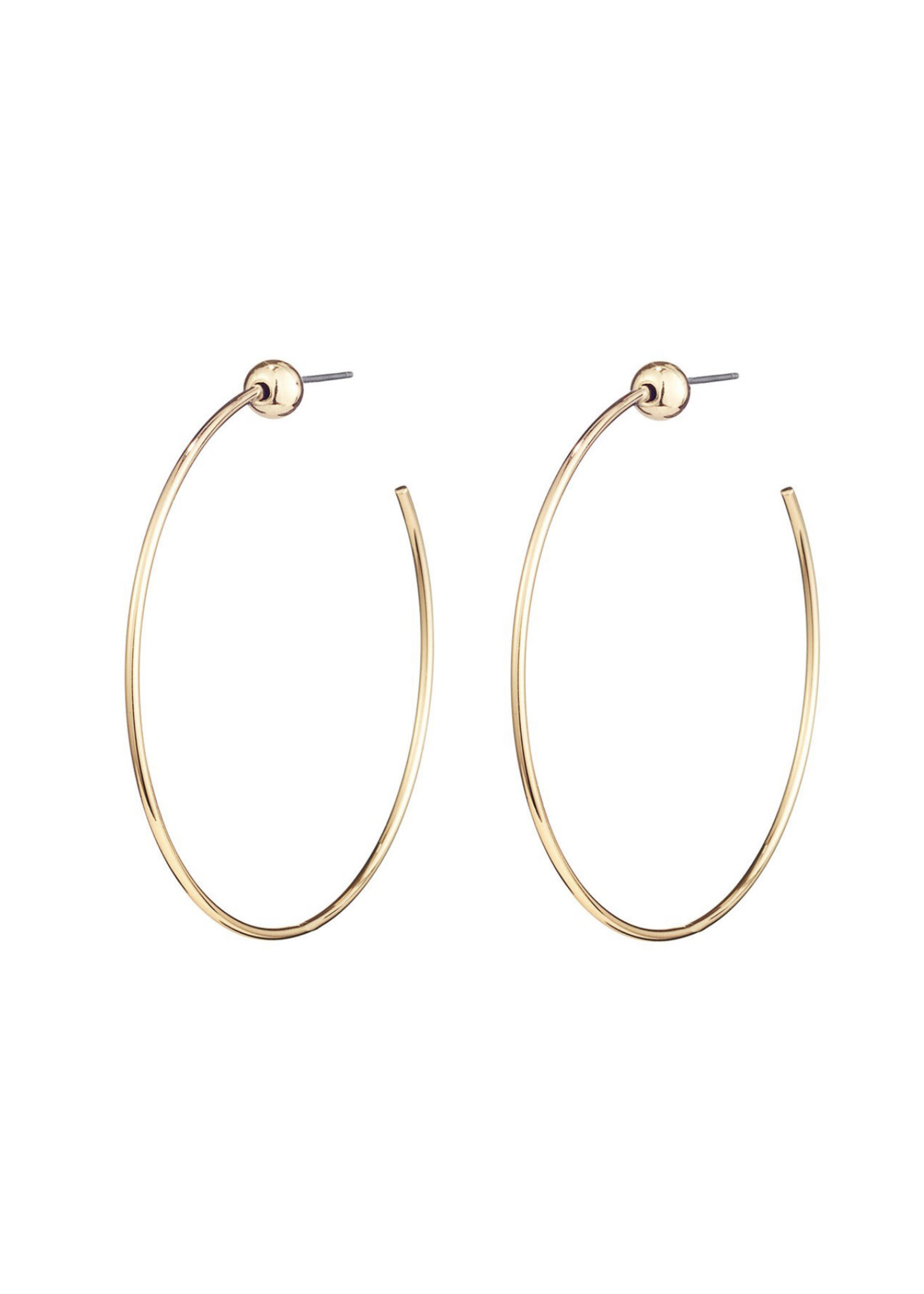 Jenny Bird Jenny Bird - Icon Hoops - Small