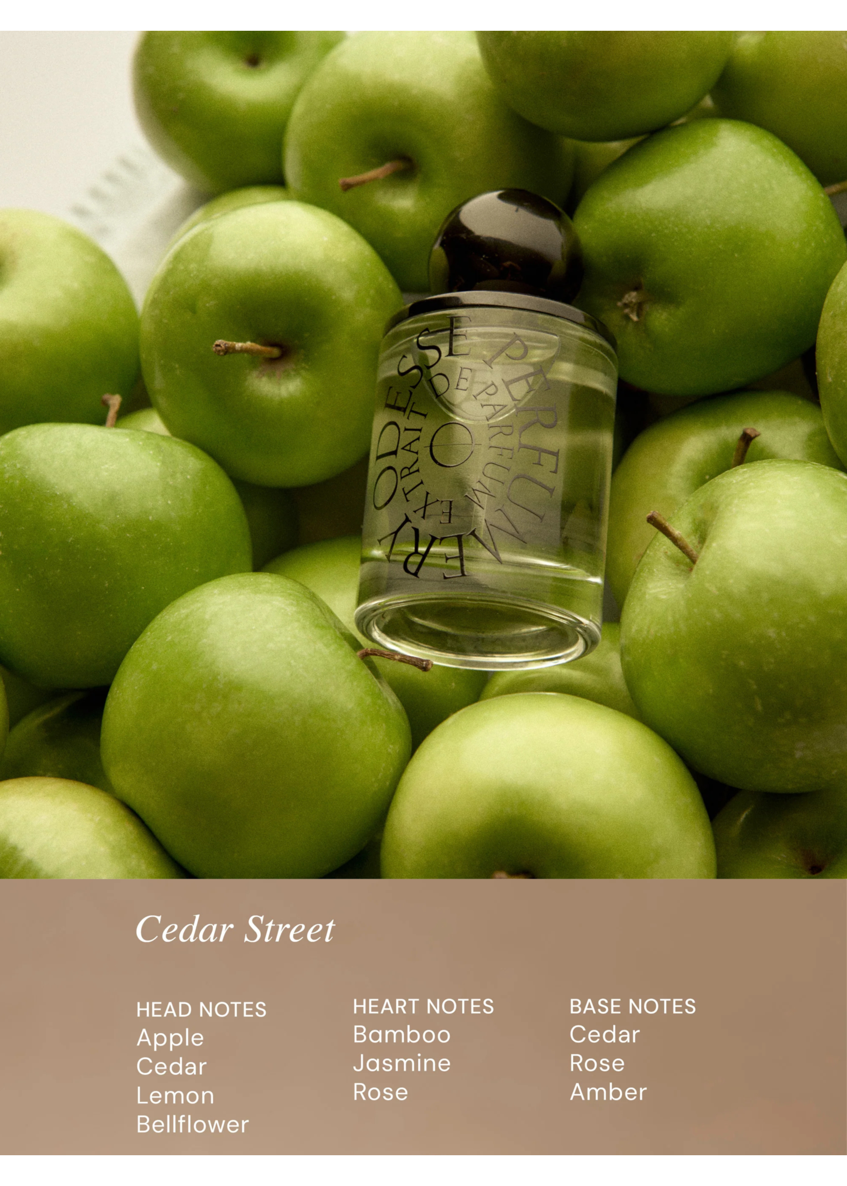Odesse Odesse Spray Perfume