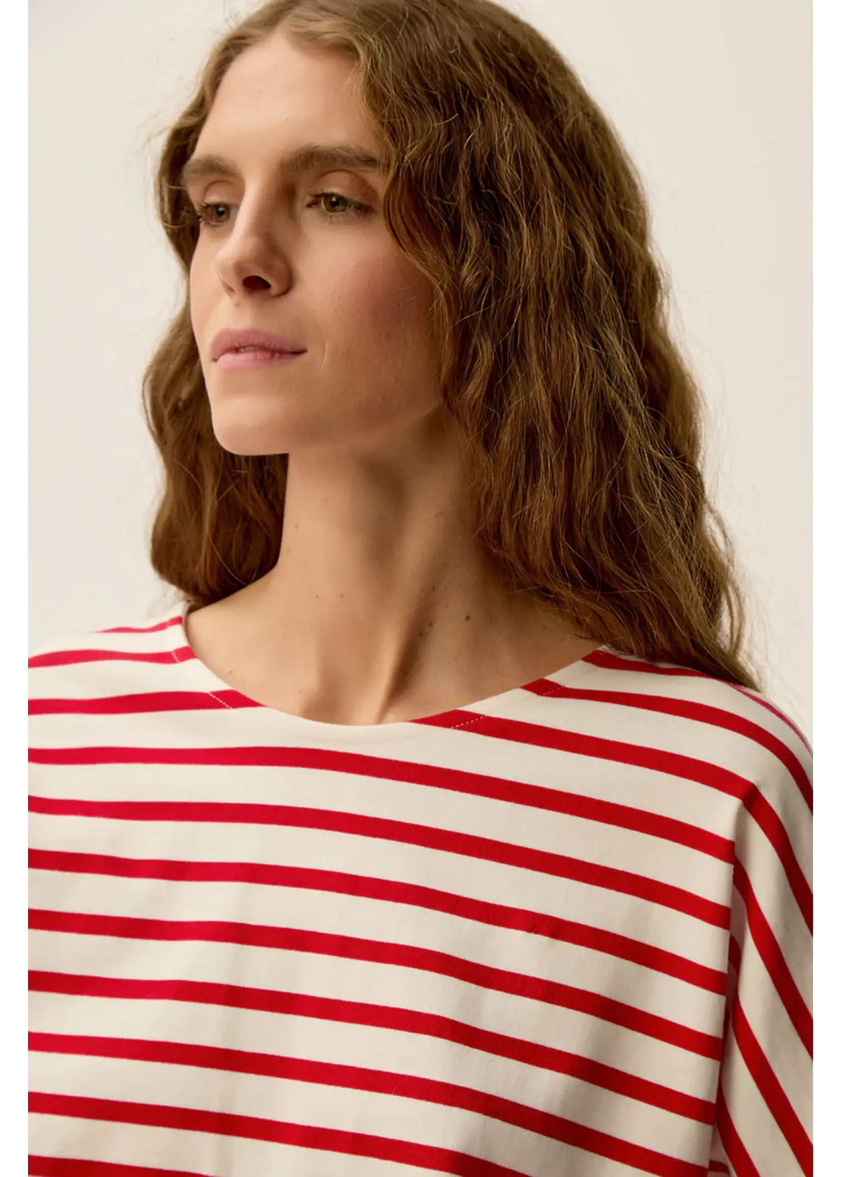 Des Petits Hauts Des Petits Hauts - Filly