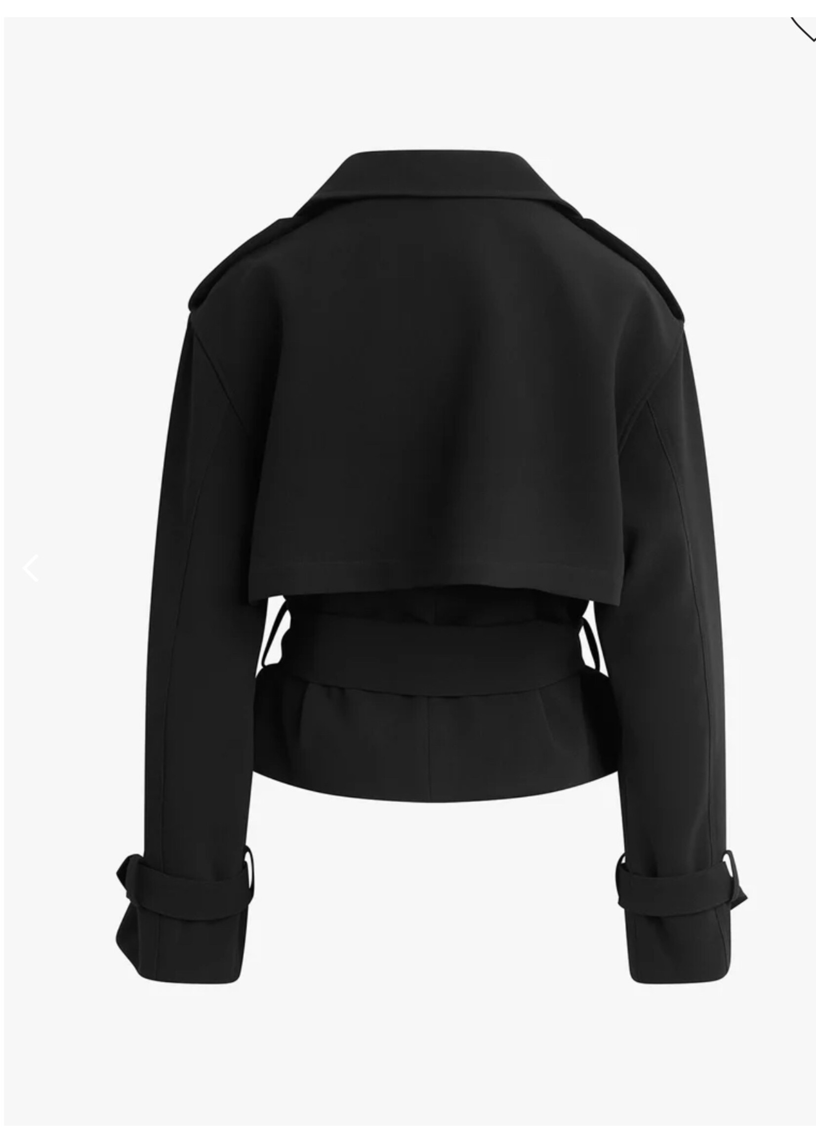 Favorite Daughter Favorite Daughter - The Cropped Charles Trench