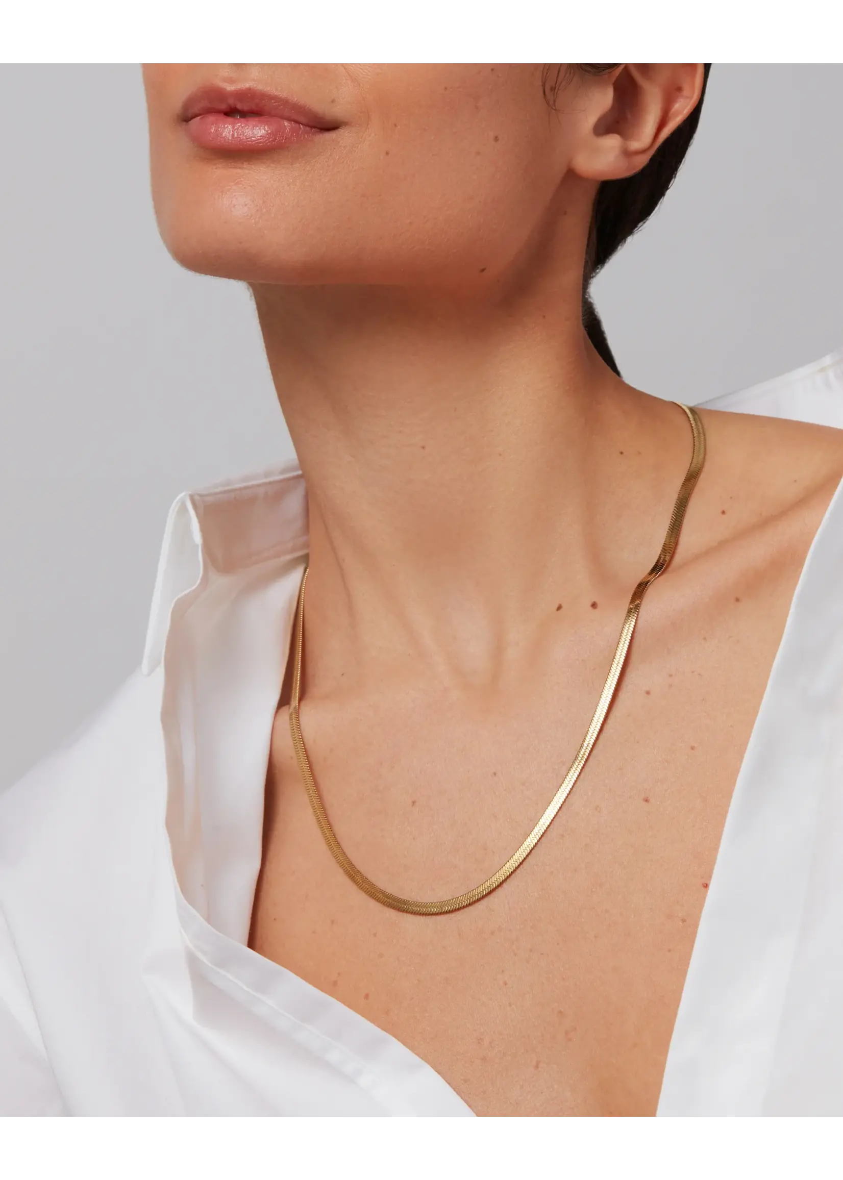 Jenny Bird Jenny Bird - Zeina Chain