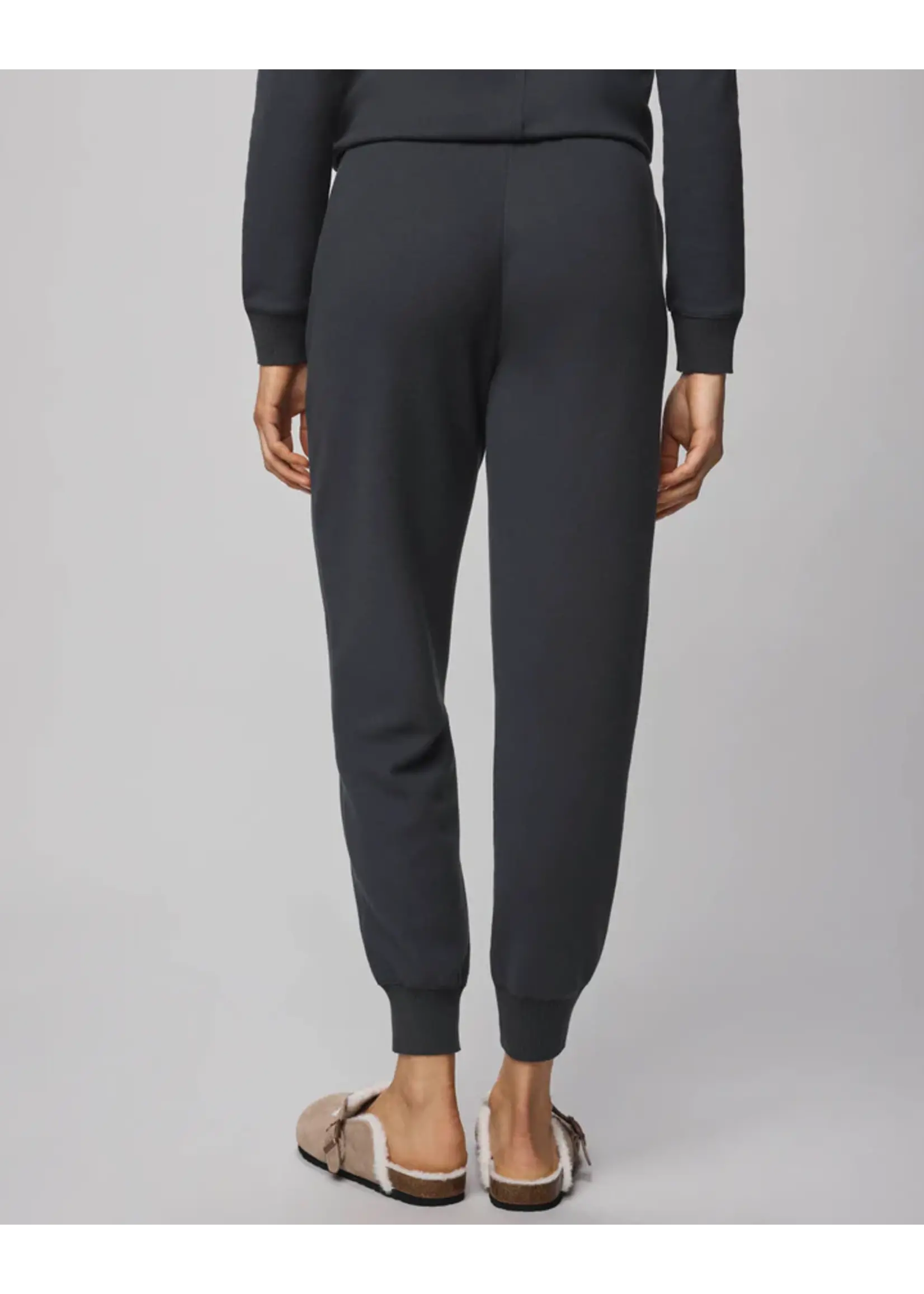 Splendid Splendid - Winslow Jogger