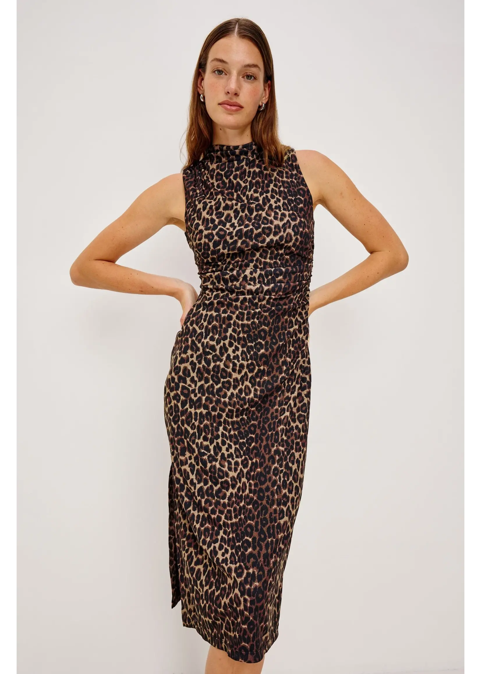 Rails Rails - Rebecca Dress