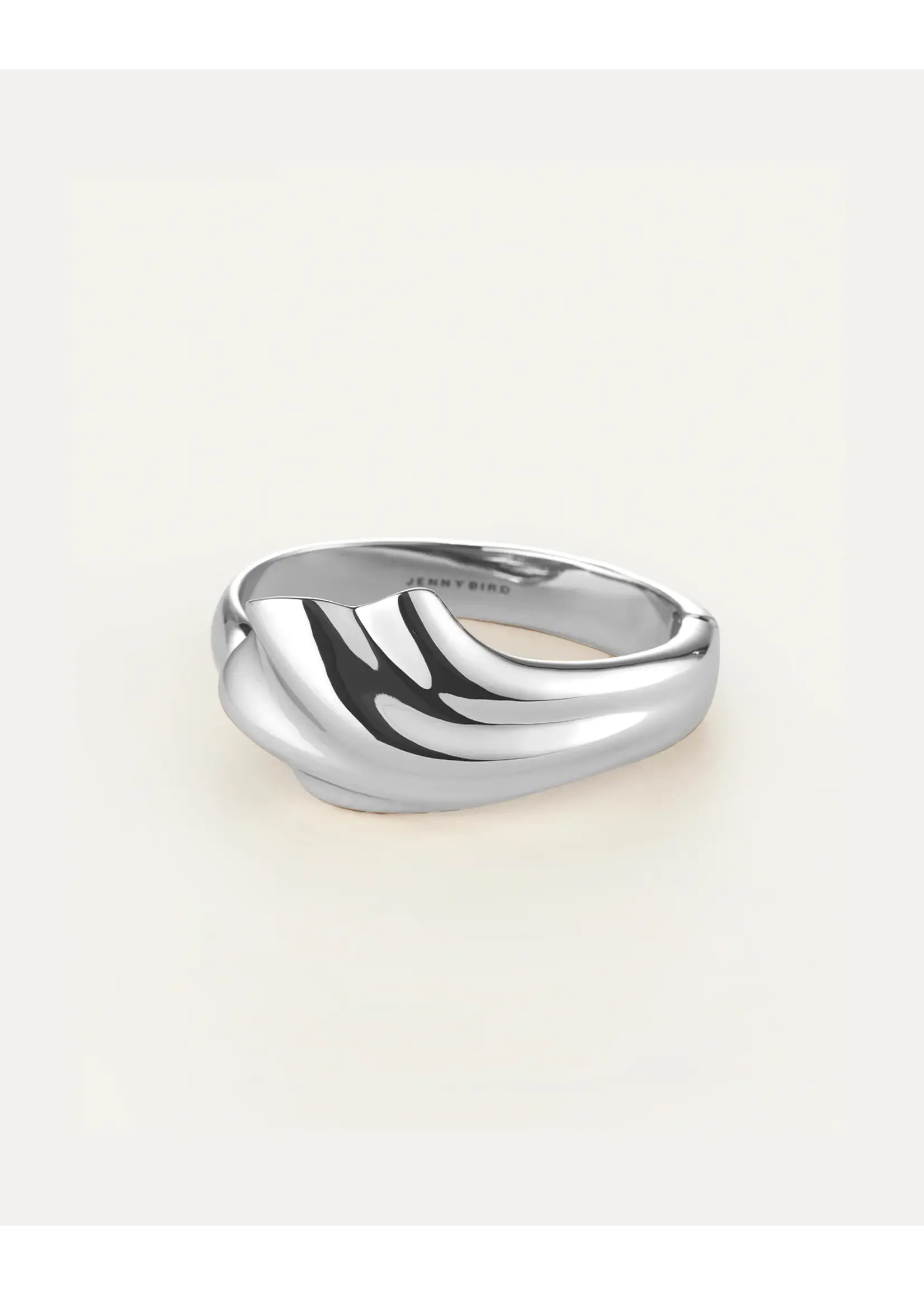 Jenny Bird Jenny Bird - Lydia Cuff