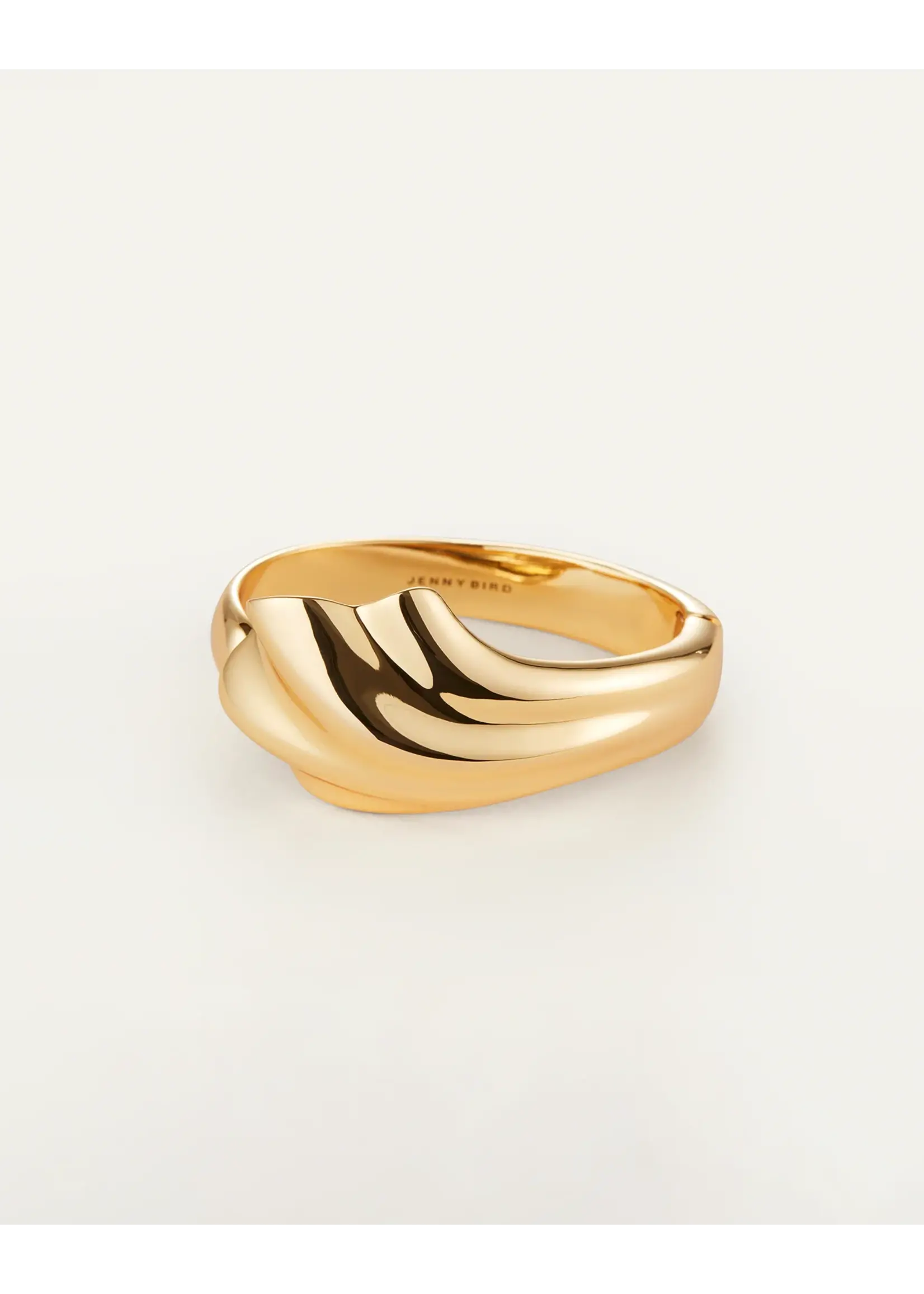 Jenny Bird Jenny Bird - Lydia Cuff