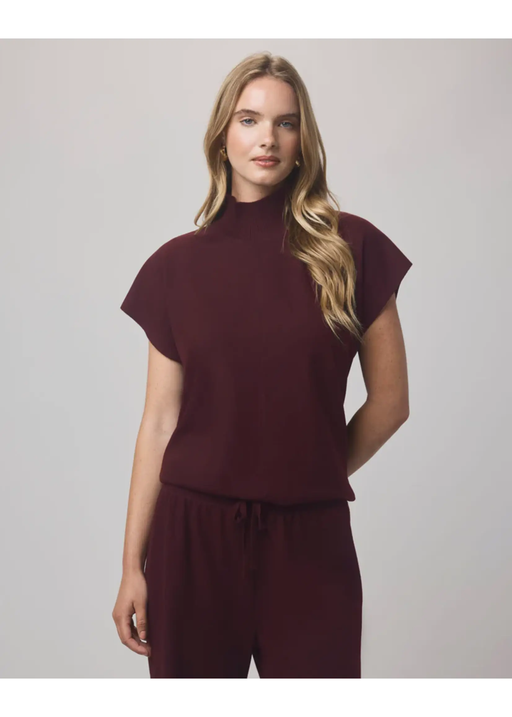 Splendid Splendid - Winslow Mockneck Pullover