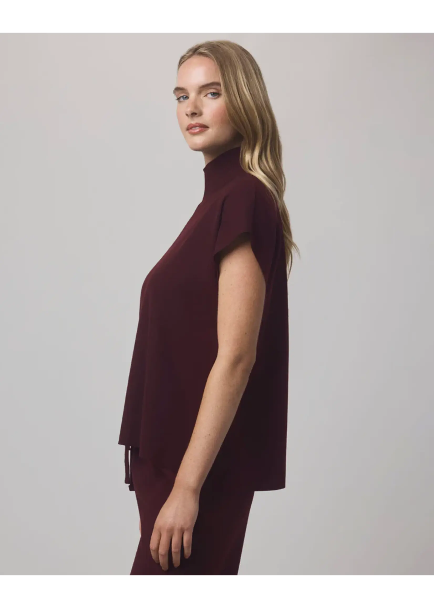 Splendid Splendid - Winslow Mockneck Pullover
