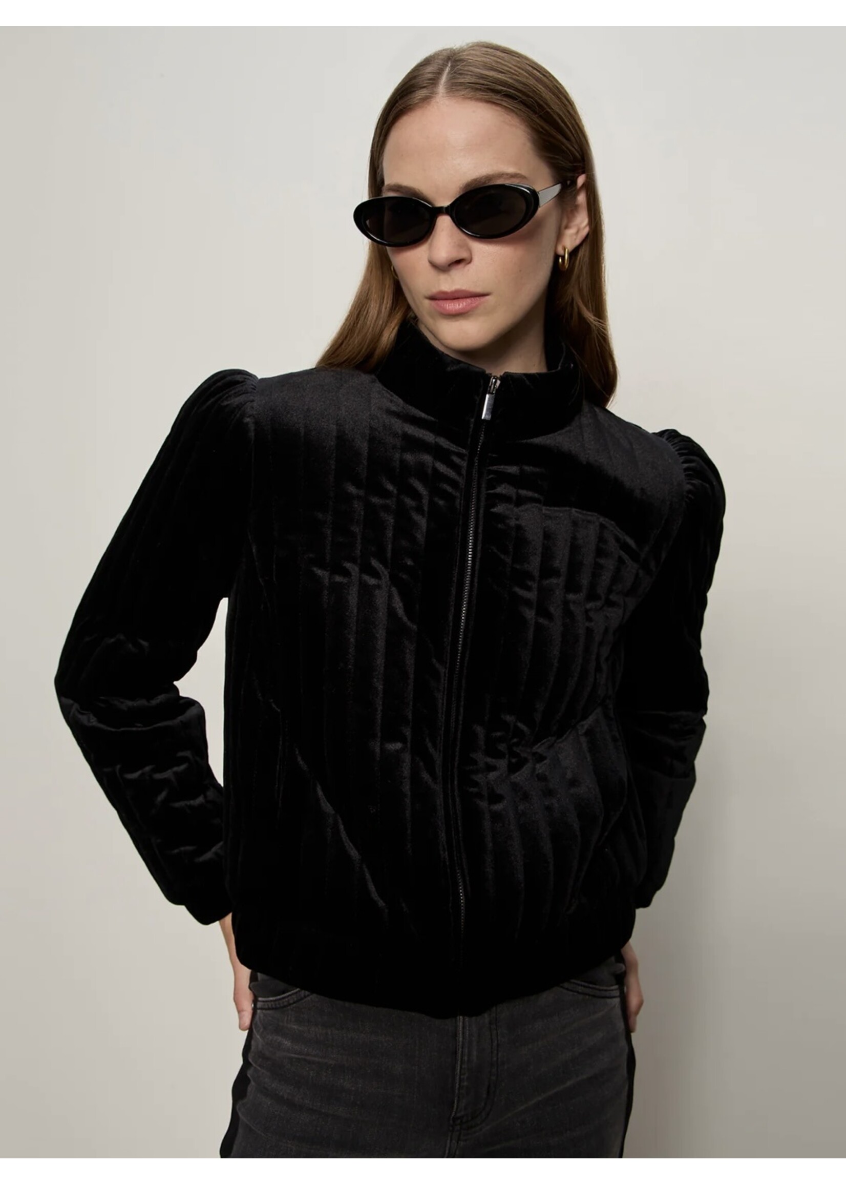 Sanctuary Sanctuary - Quilted Velvet Jacket