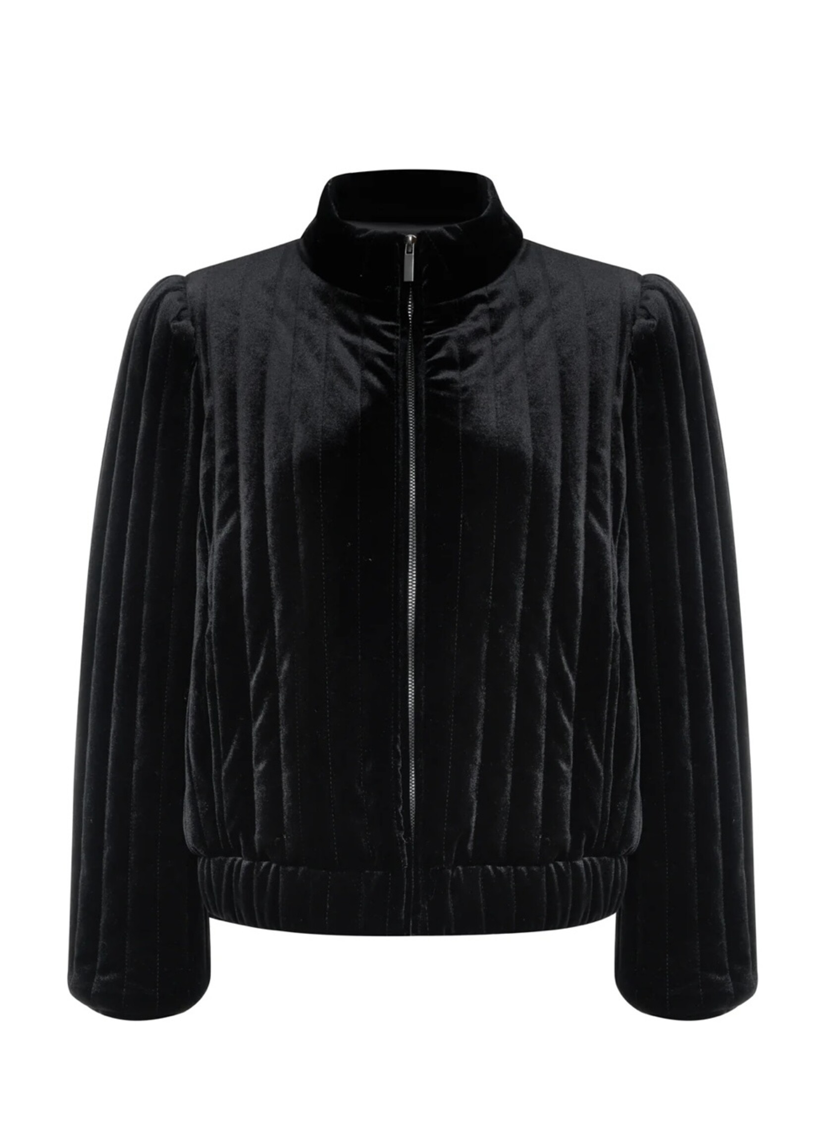 Sanctuary Sanctuary - Quilted Velvet Jacket