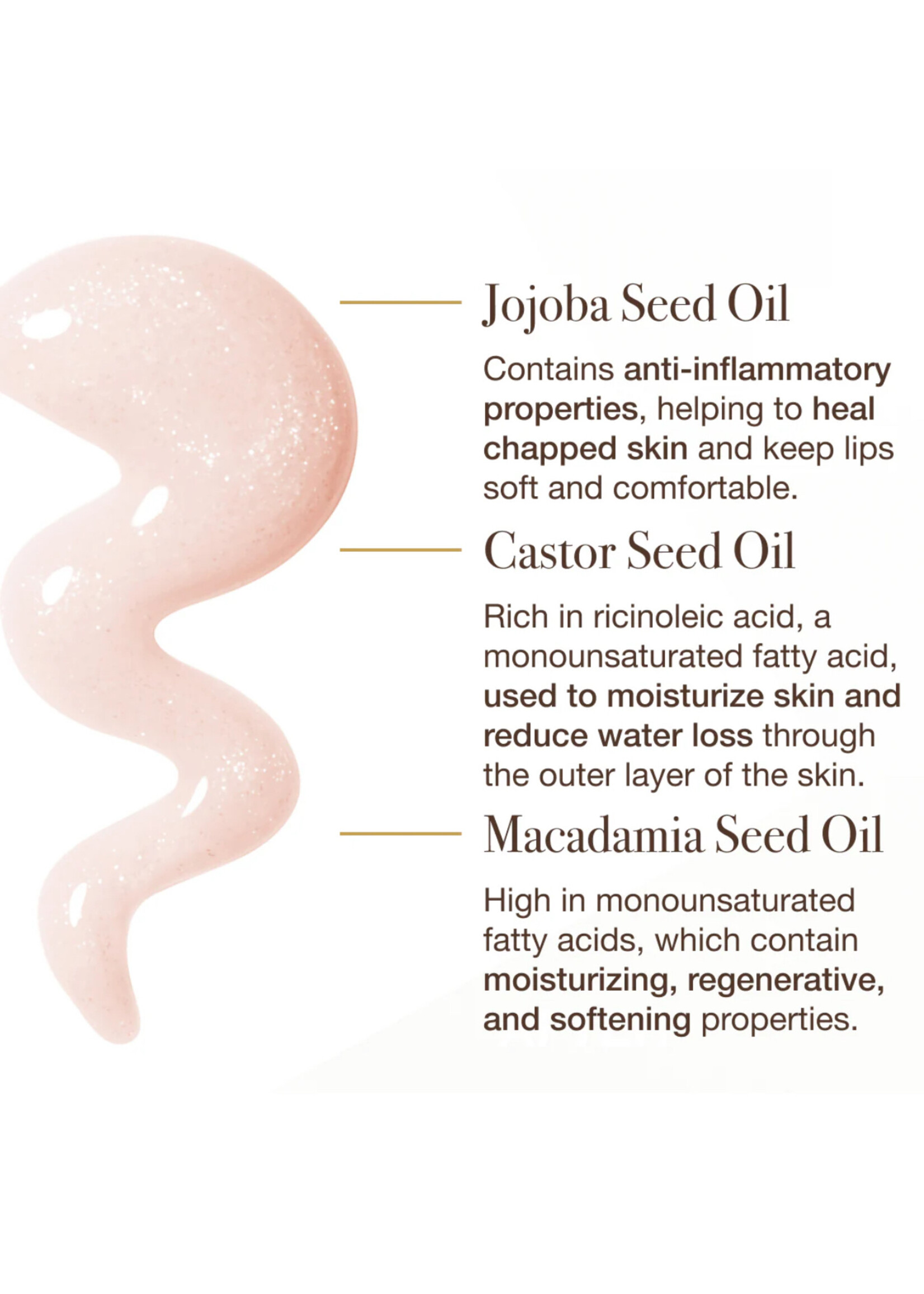 Sara Happ Sara Happ - The Lip Elixir Oil