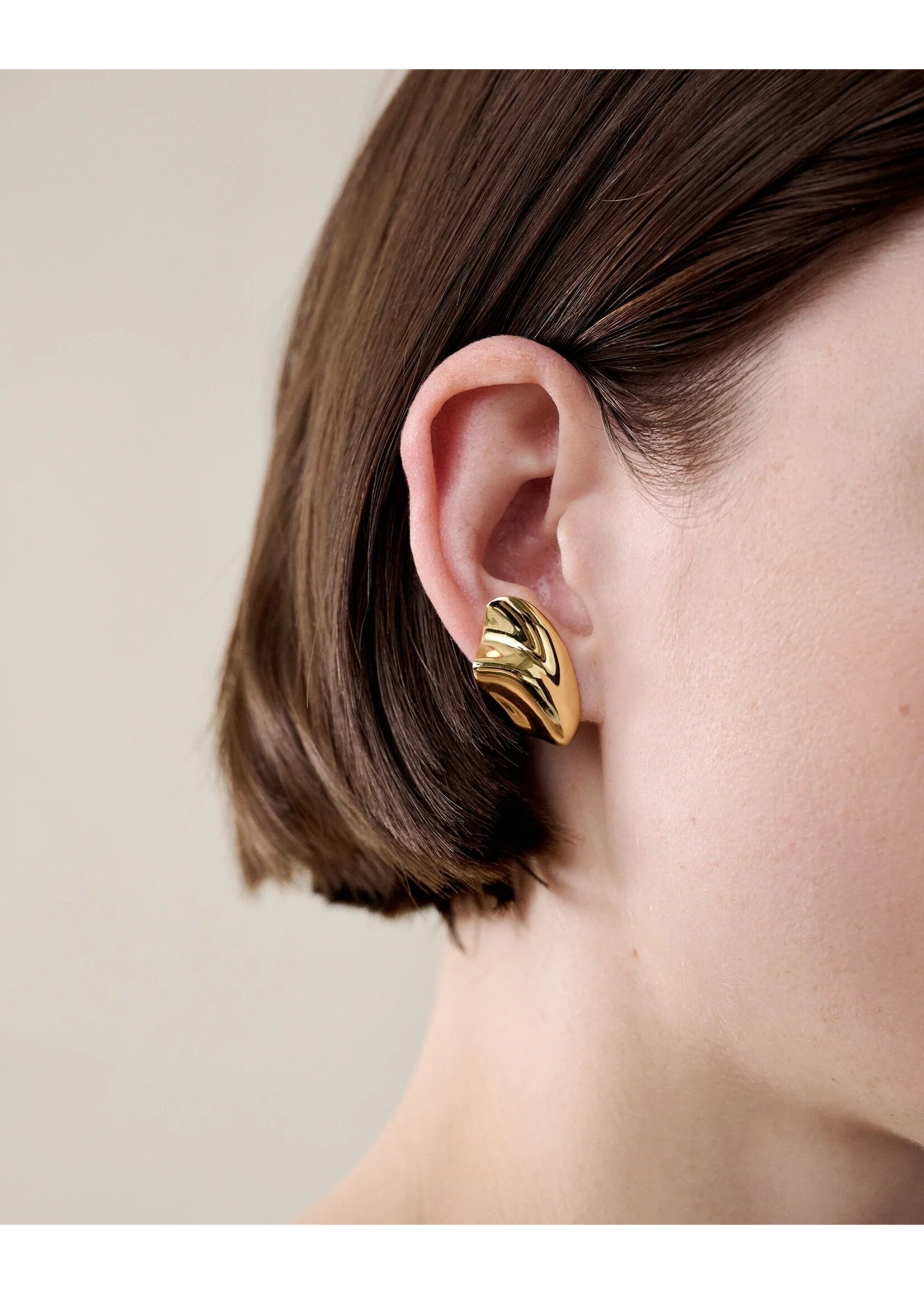 Jenny Bird Jenny Bird -- Portia