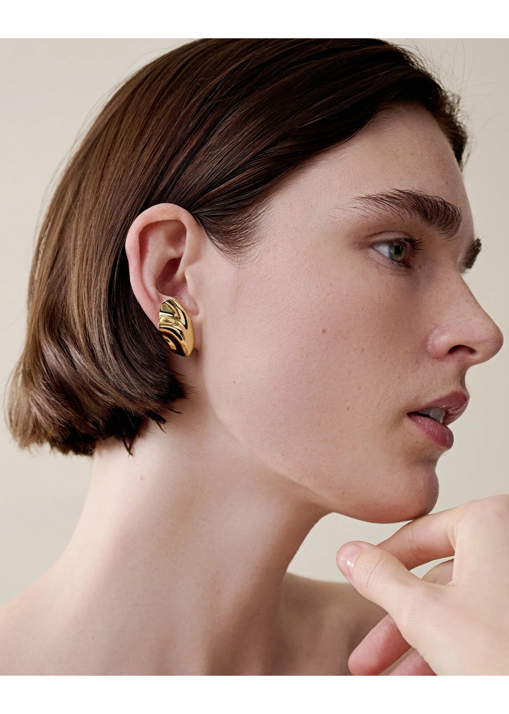 Jenny Bird Jenny Bird -- Portia