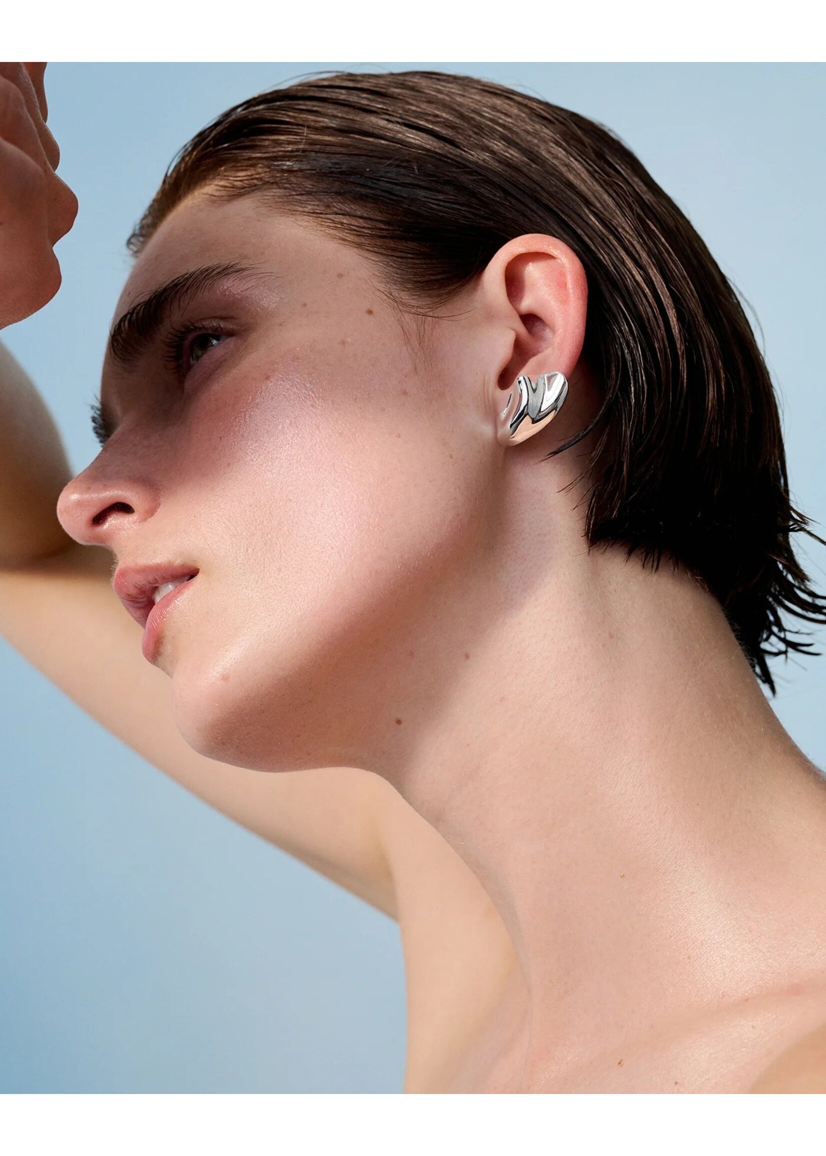 Jenny Bird Jenny Bird -- Portia