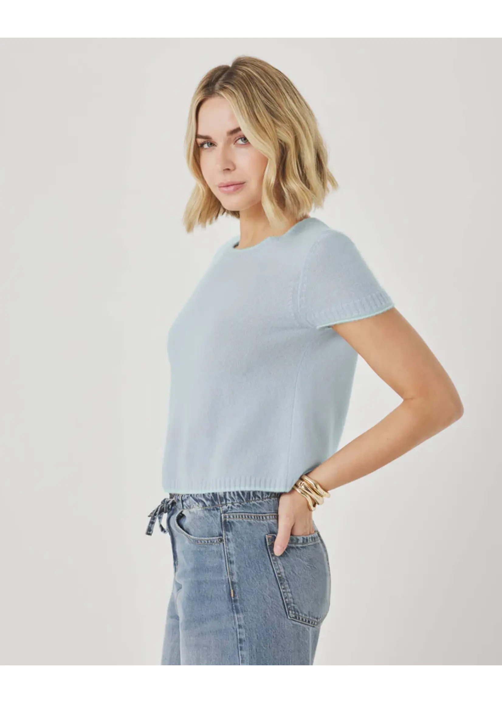 Splendid Splendid - Emerson Tipped SS Sweater