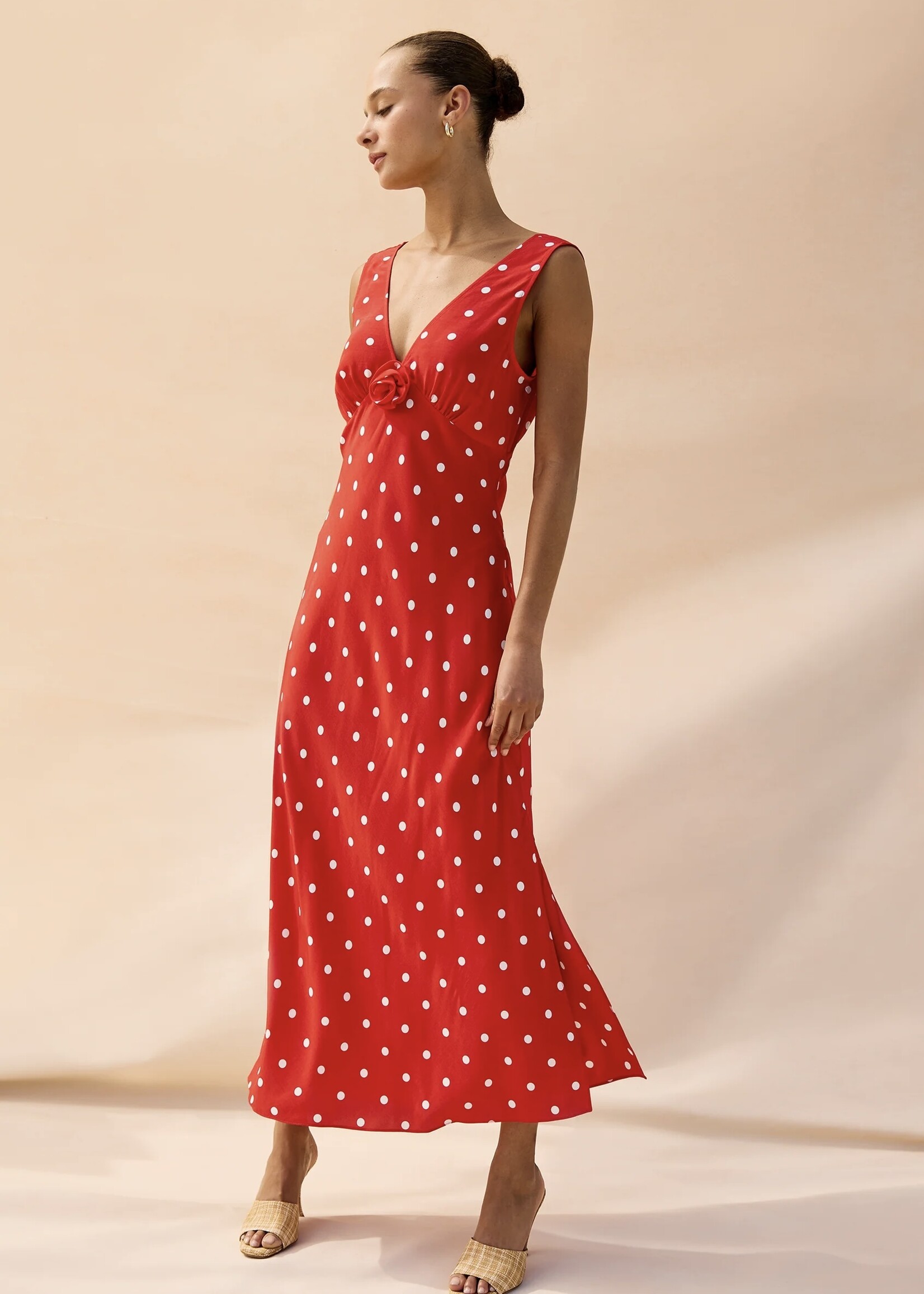 Rails Rails - Terena