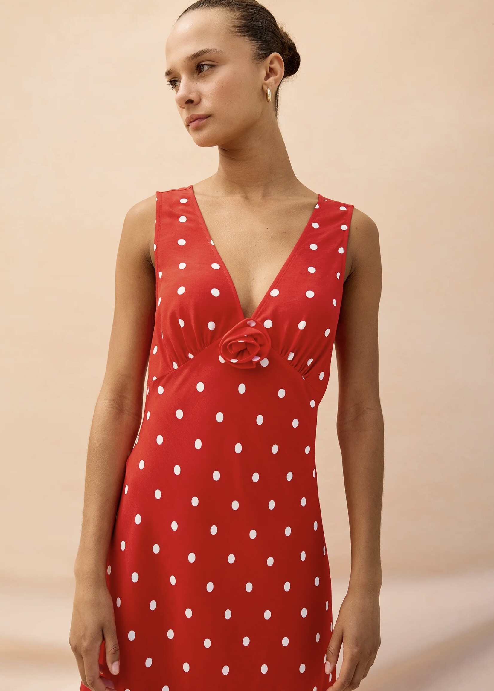 Rails Rails - Terena