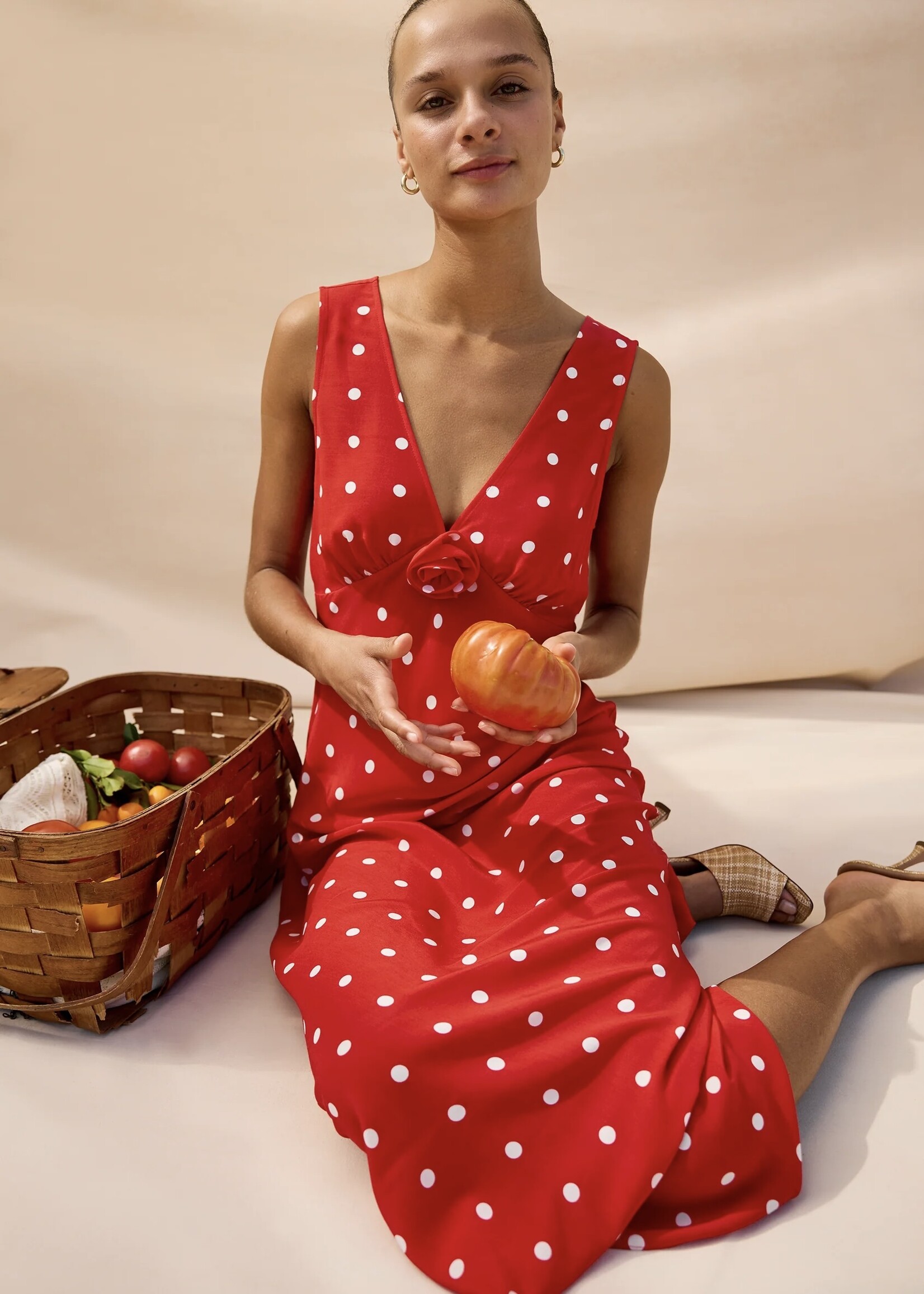 Rails Rails - Terena